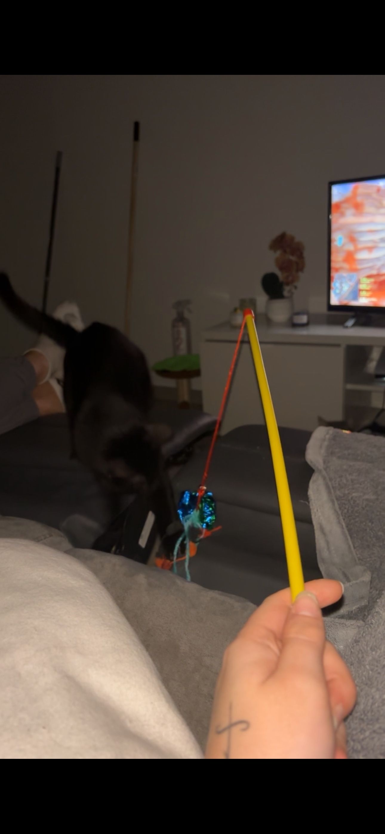 image-10