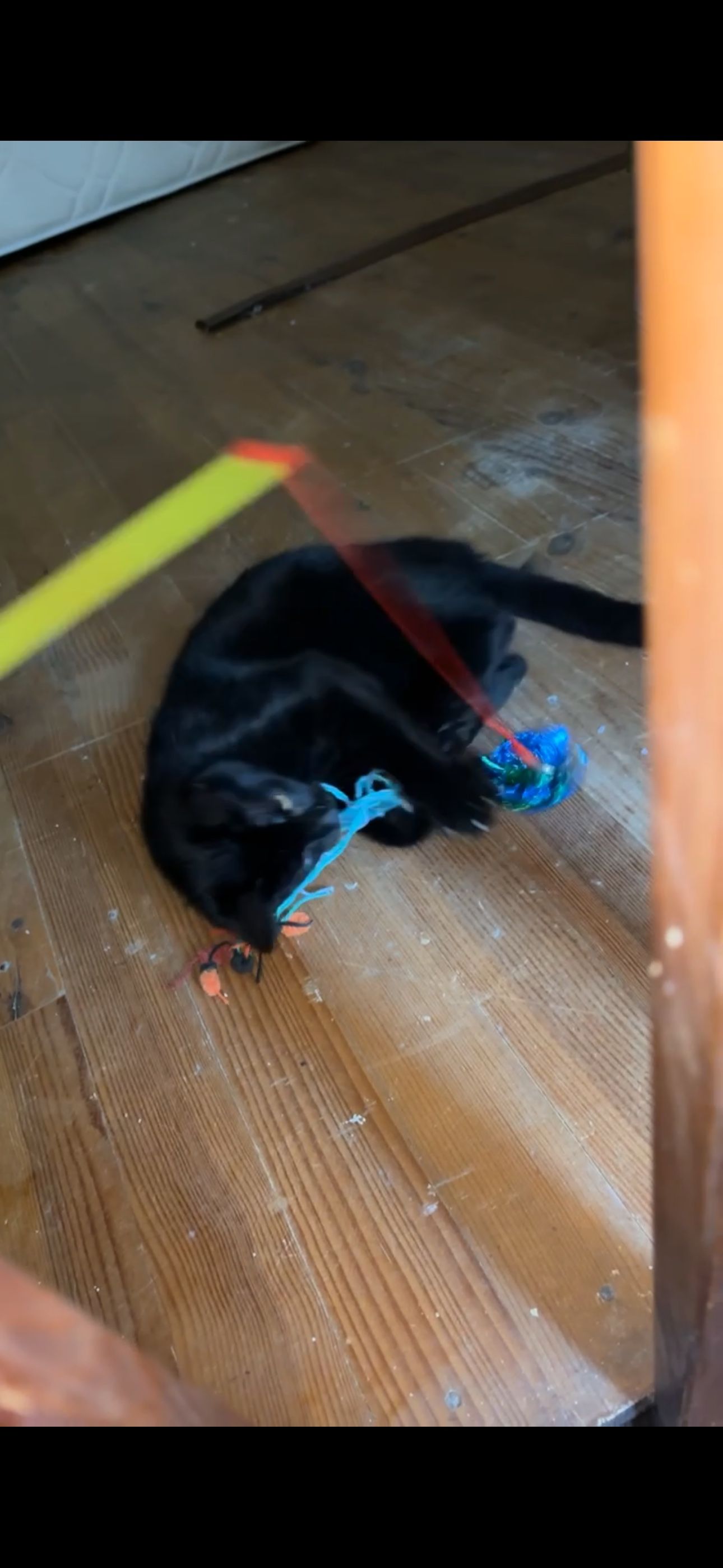 image-12