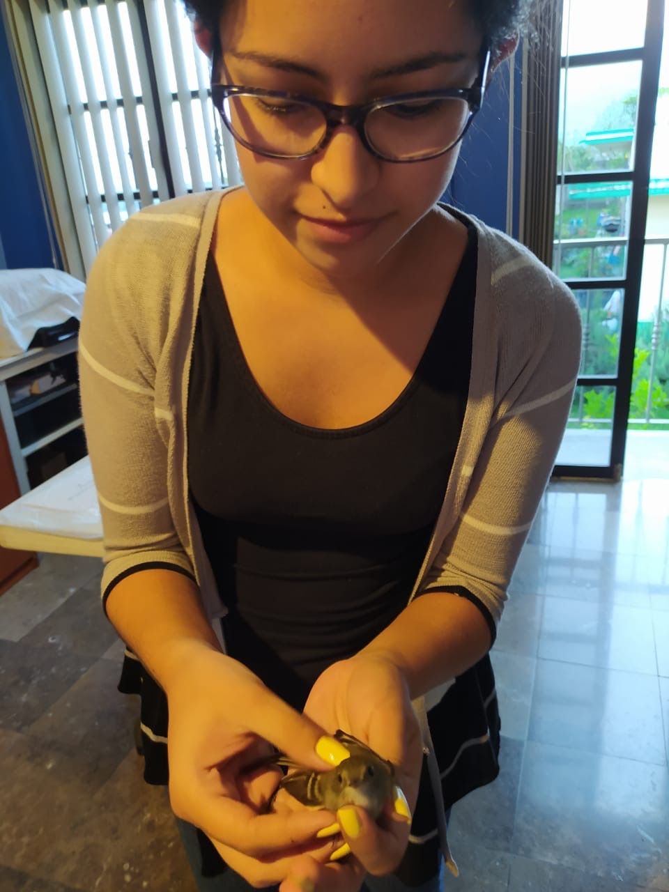 image-3