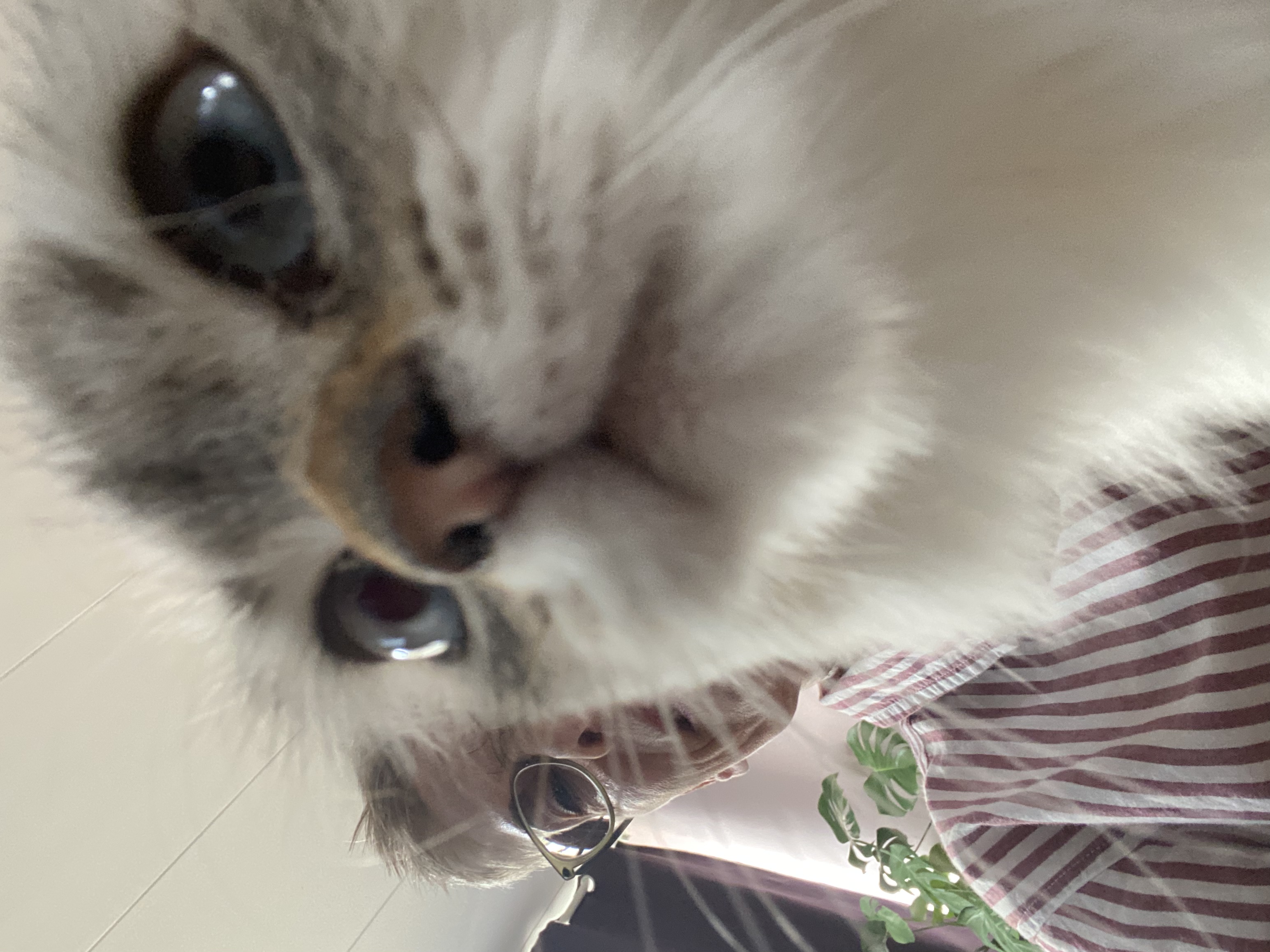 image-7