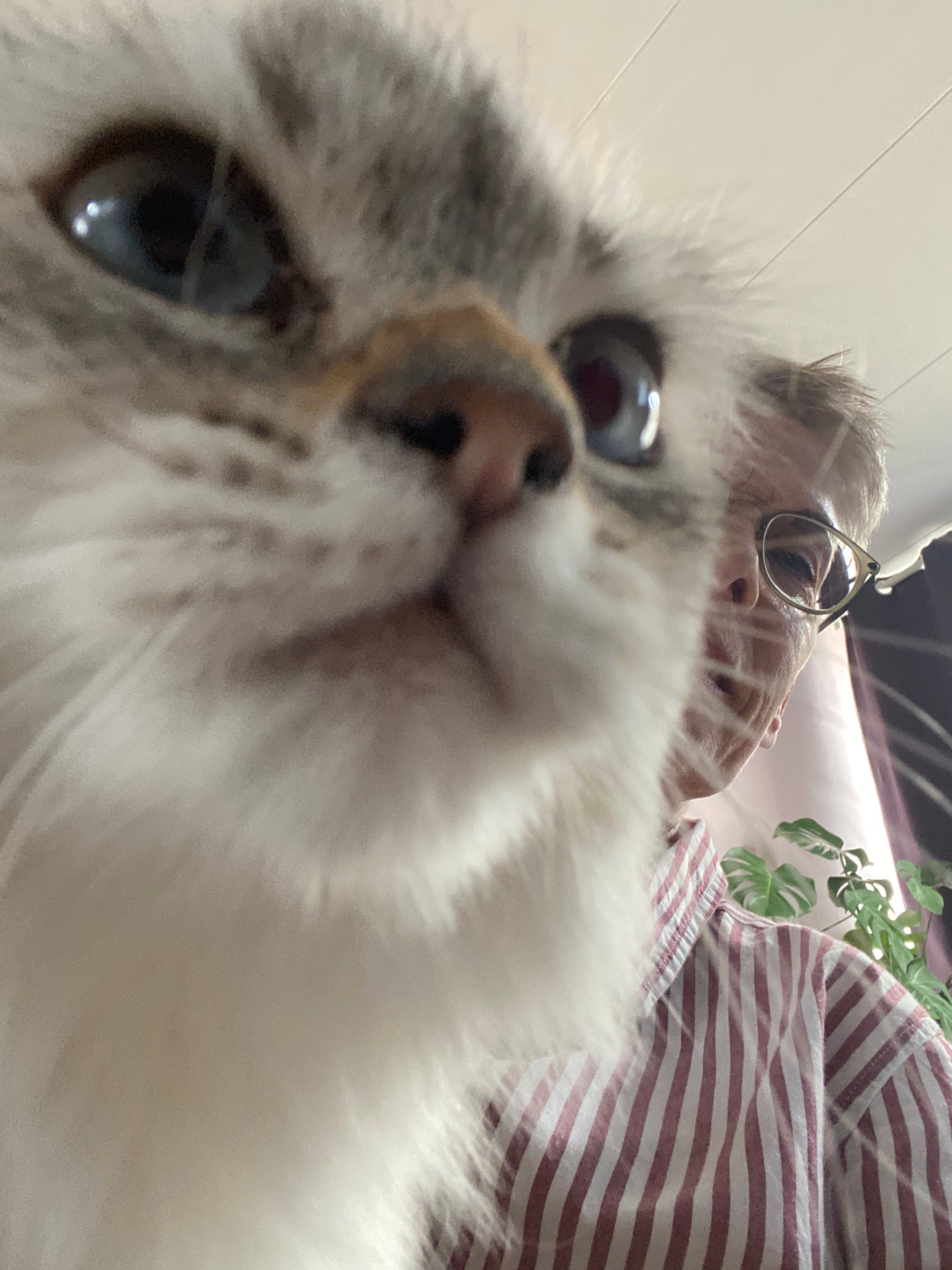 image-7