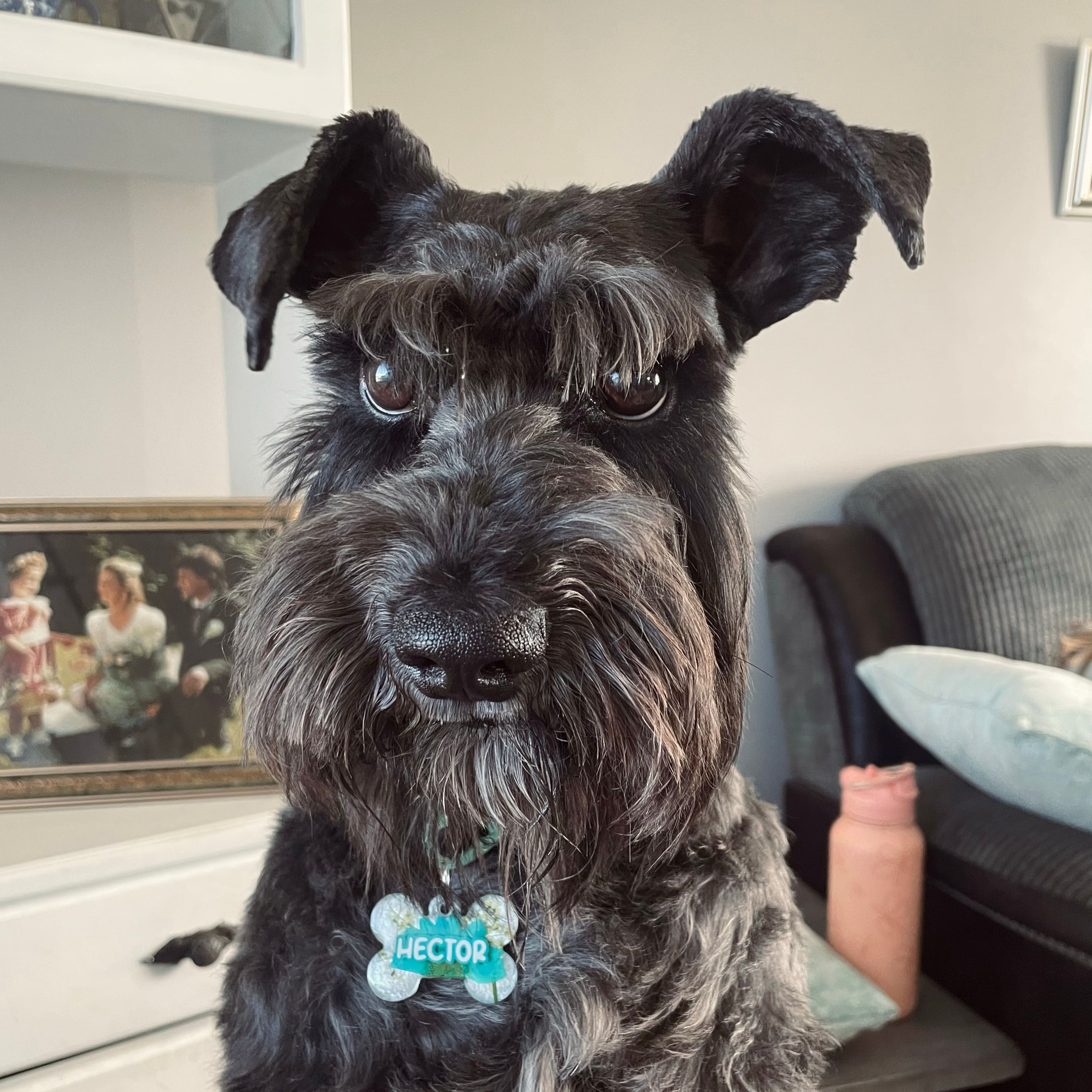 Hector