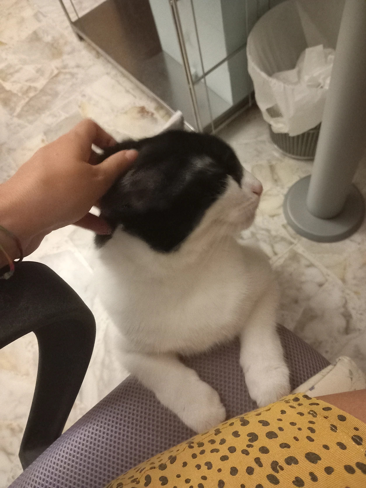 image-7