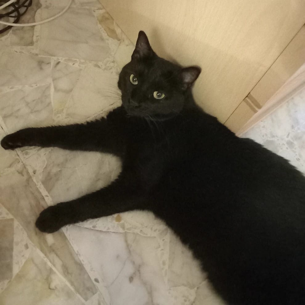 Amelia