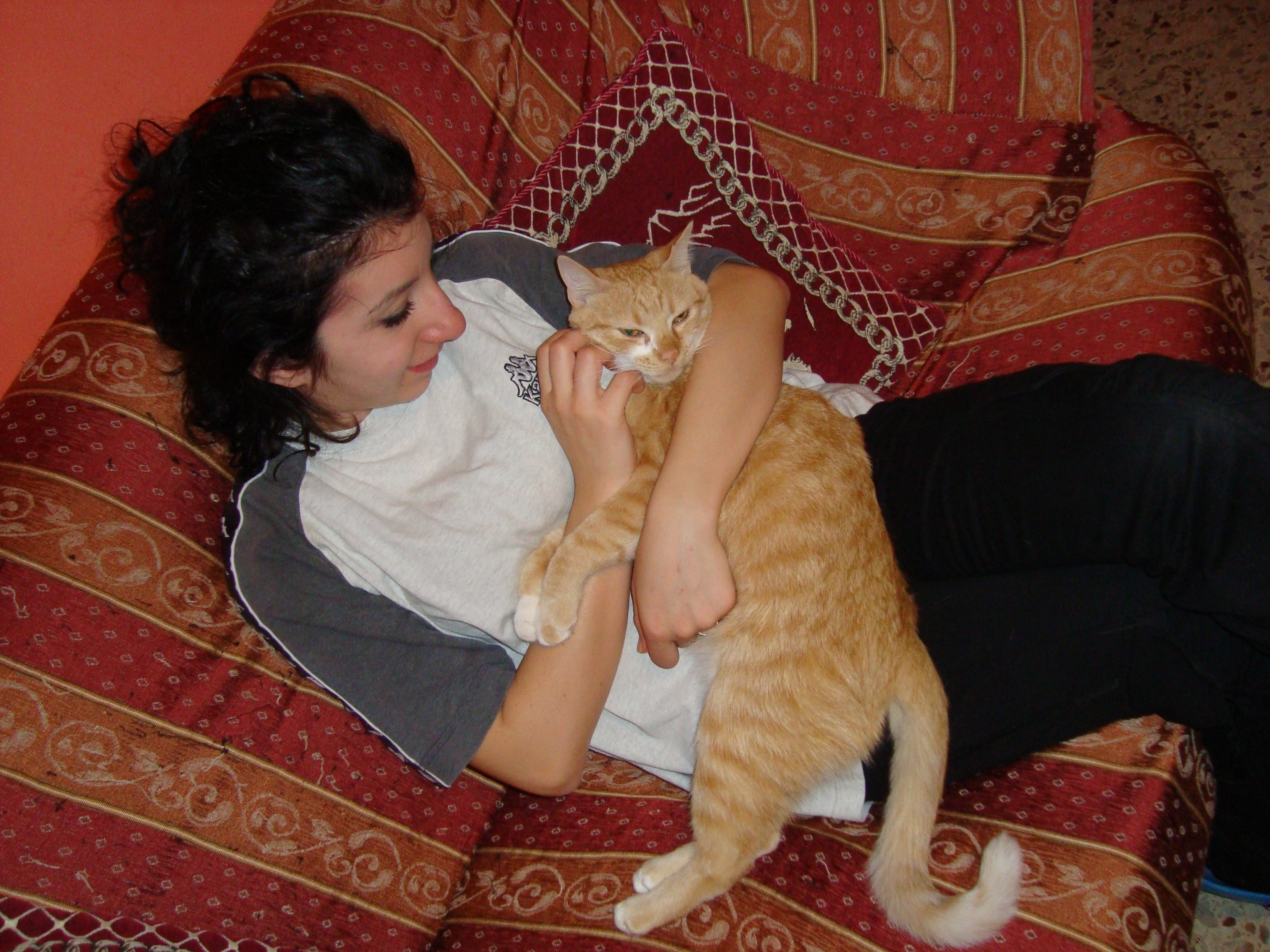 image-8