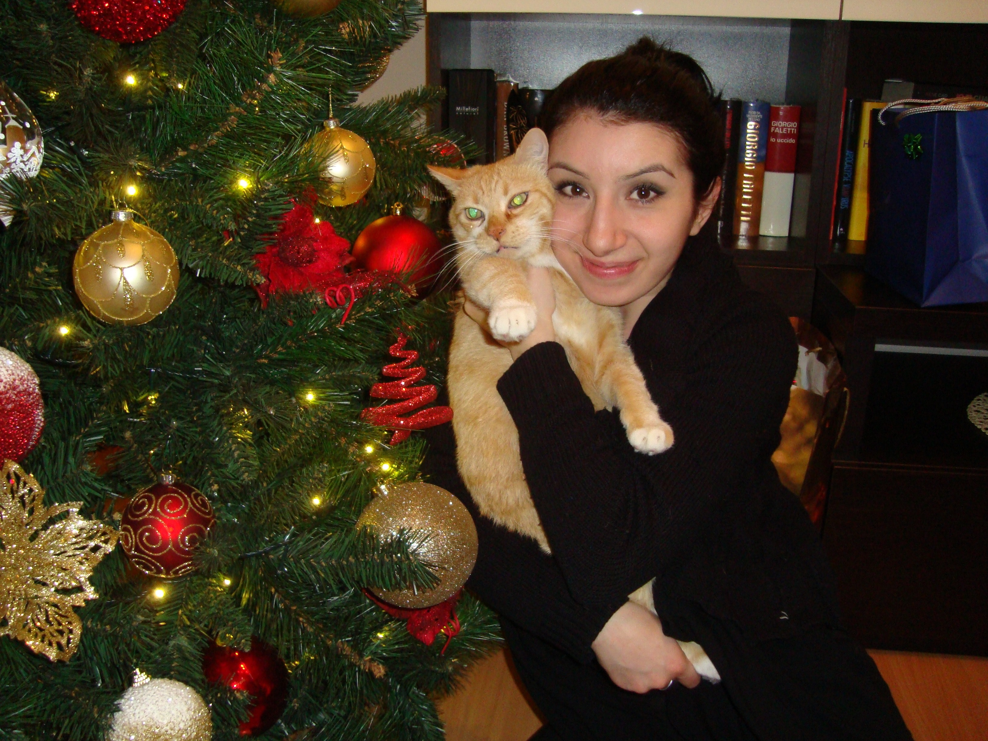 image-7