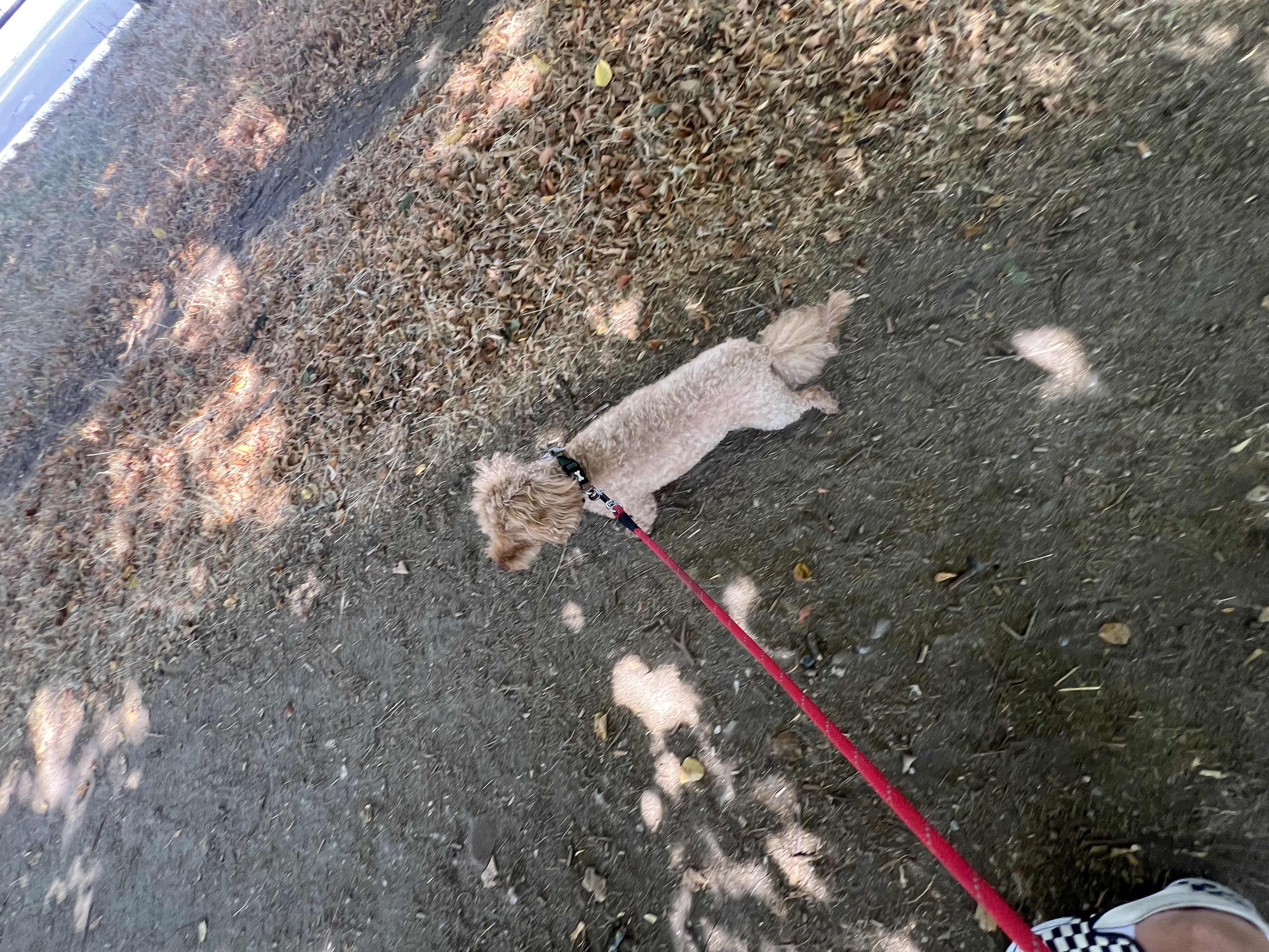 image-19