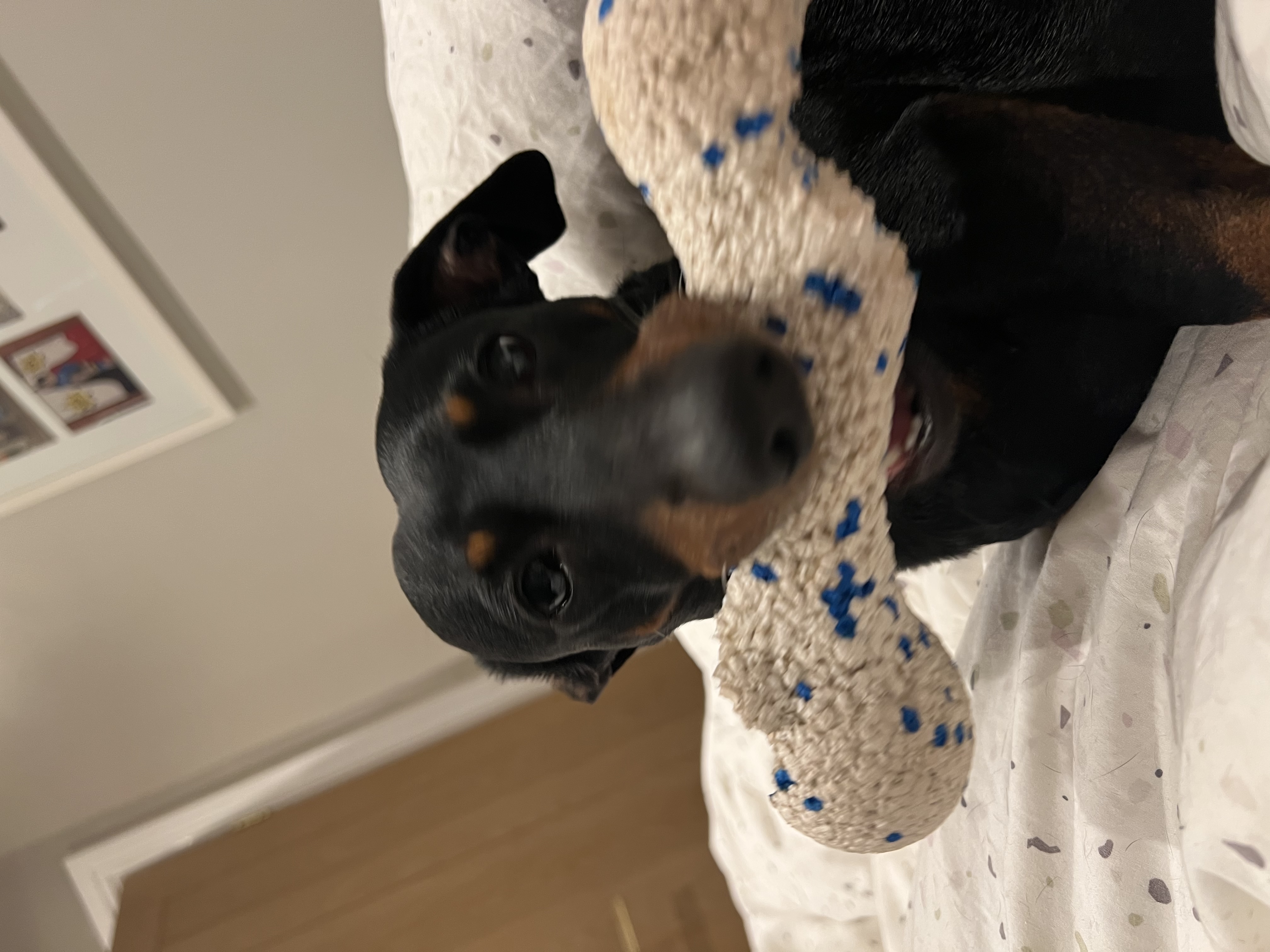 image-6