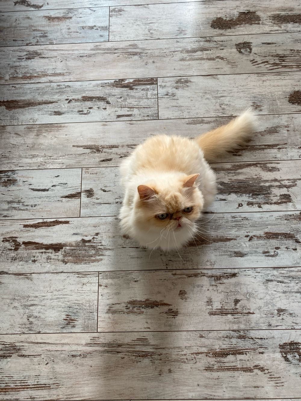 image-34