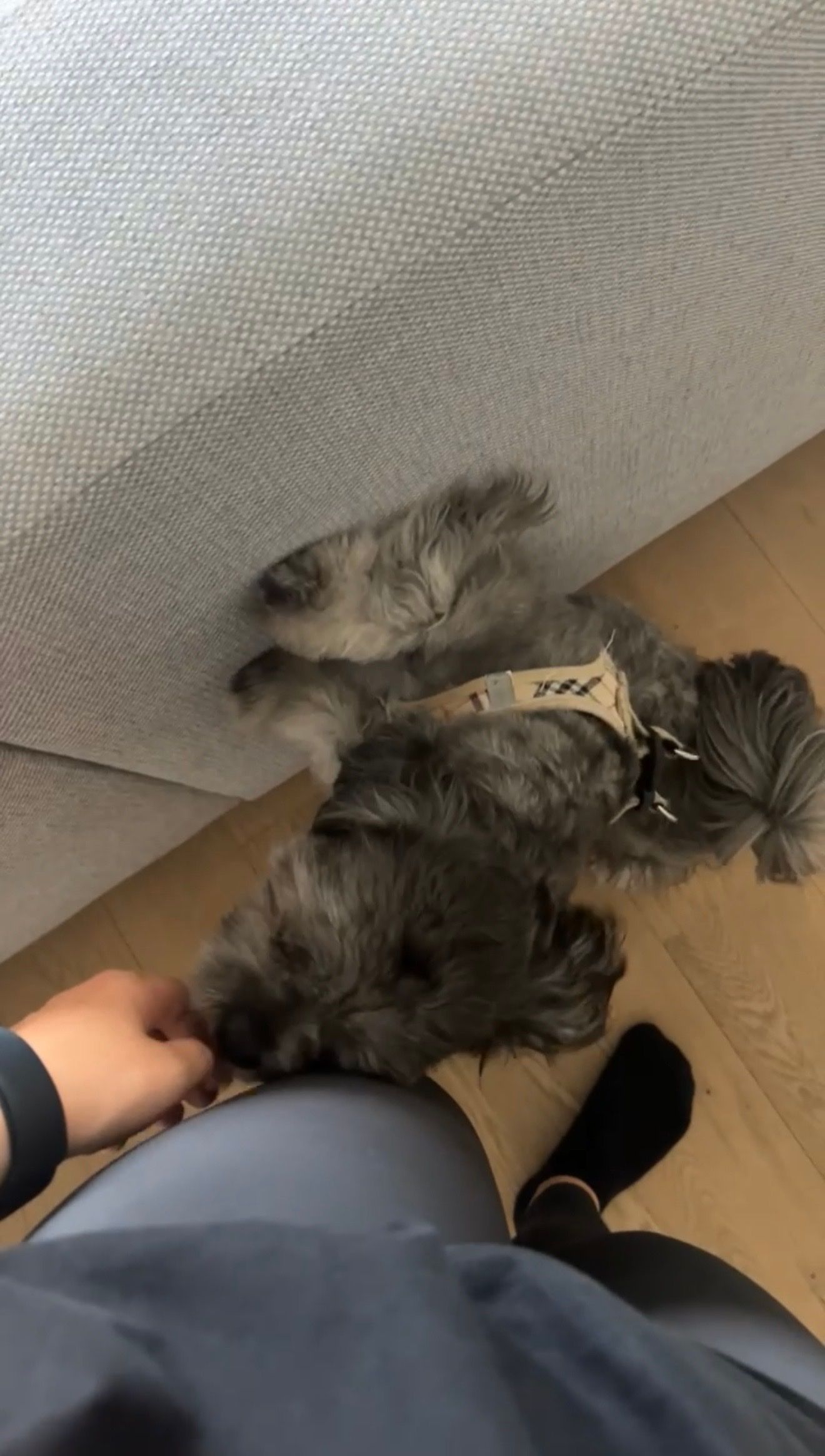 image-8