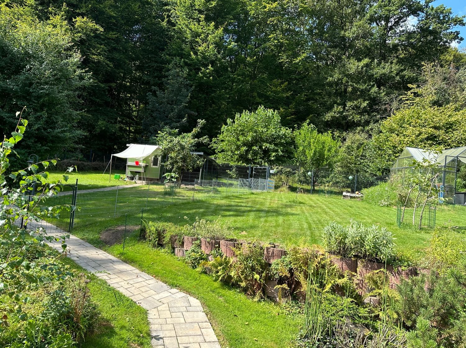 image-3