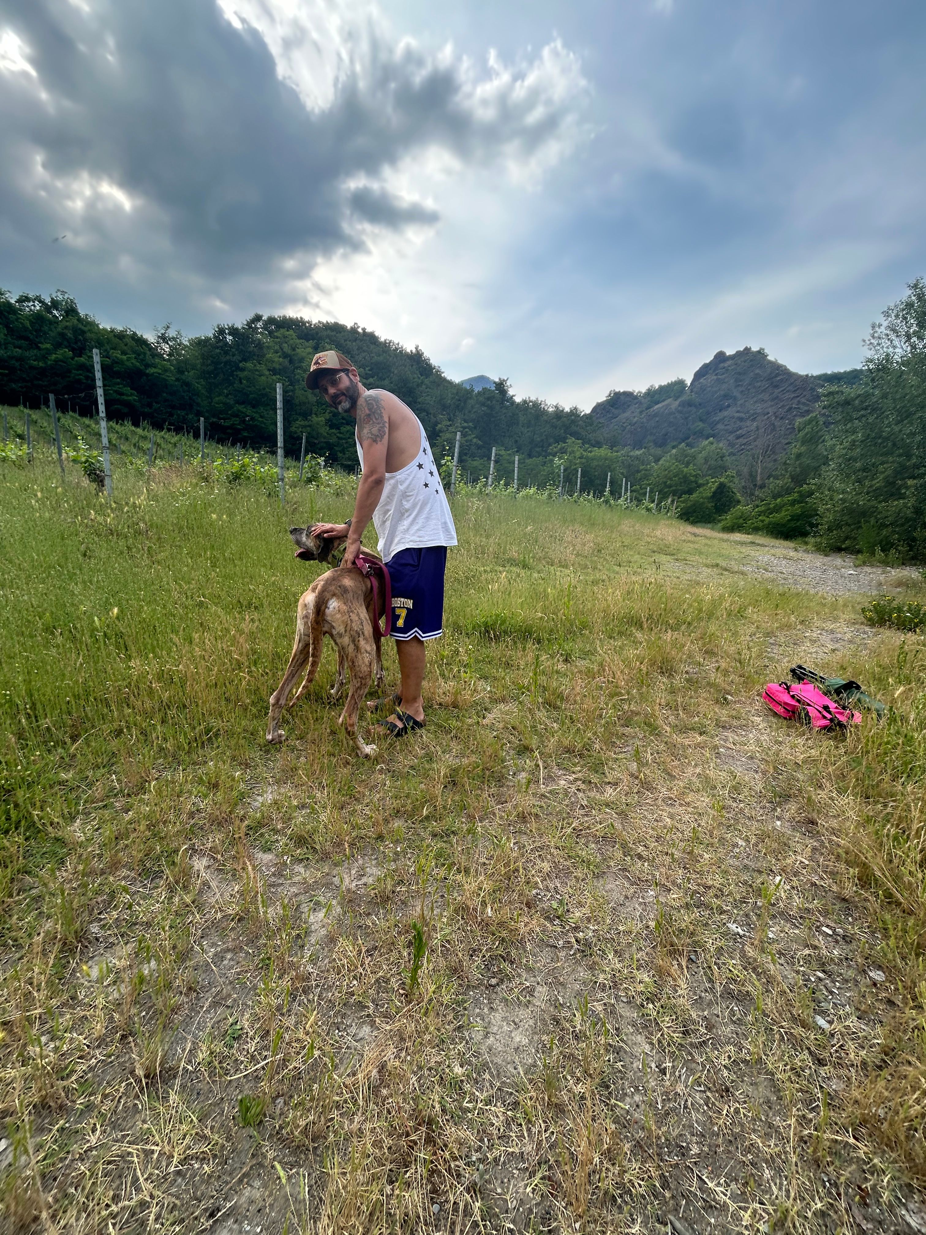 image-7