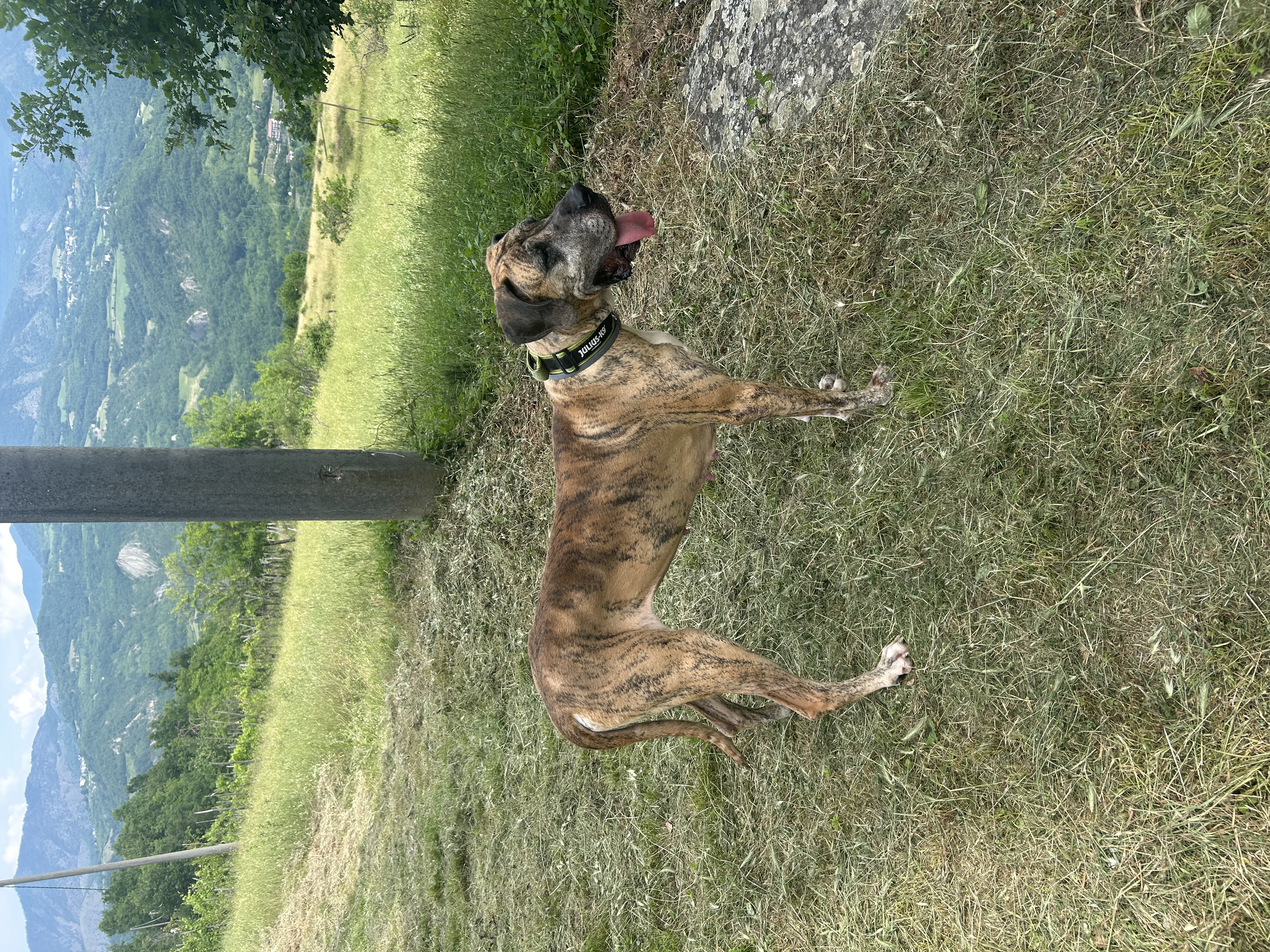 image-8