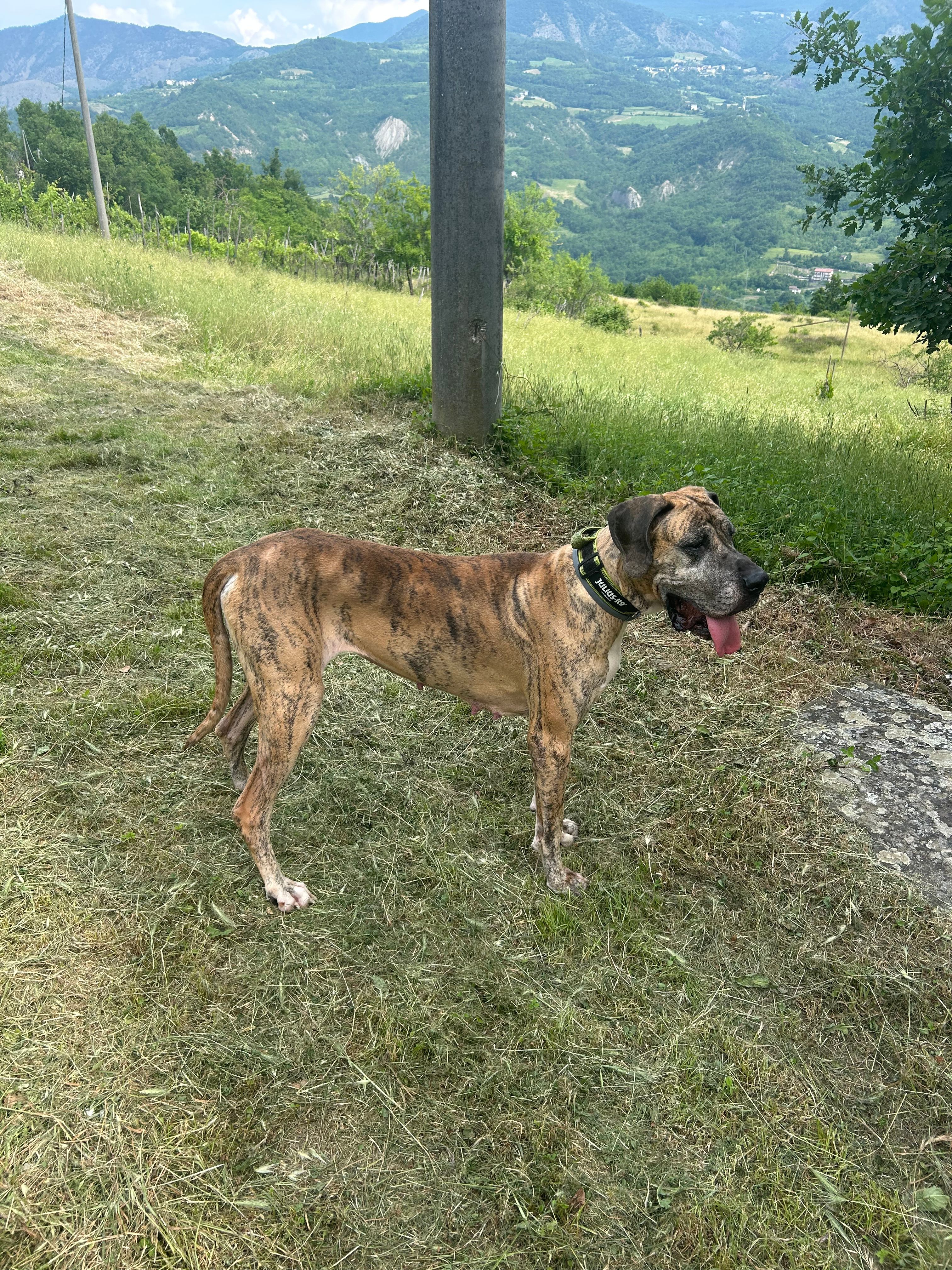 image-8