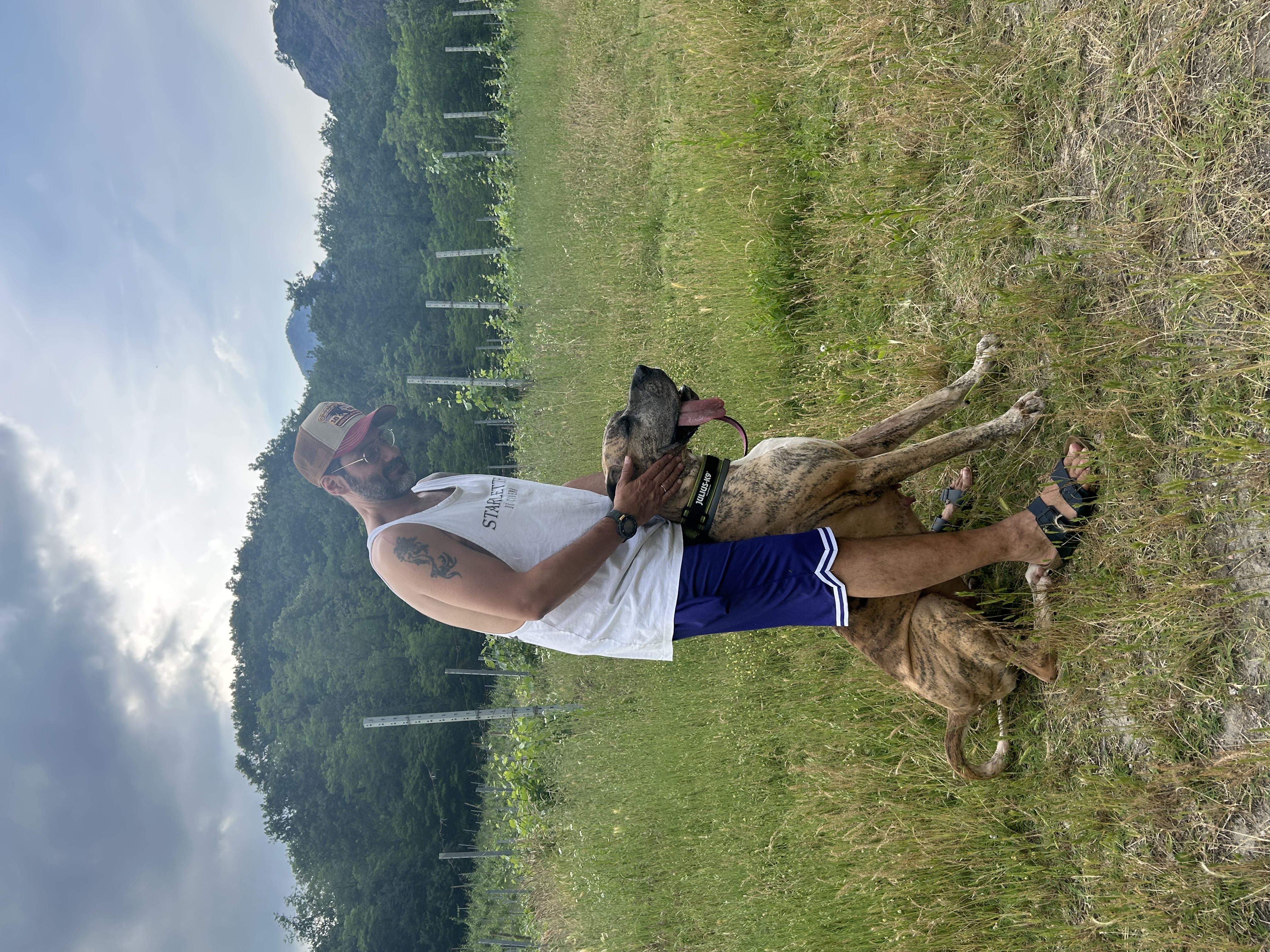 image-6