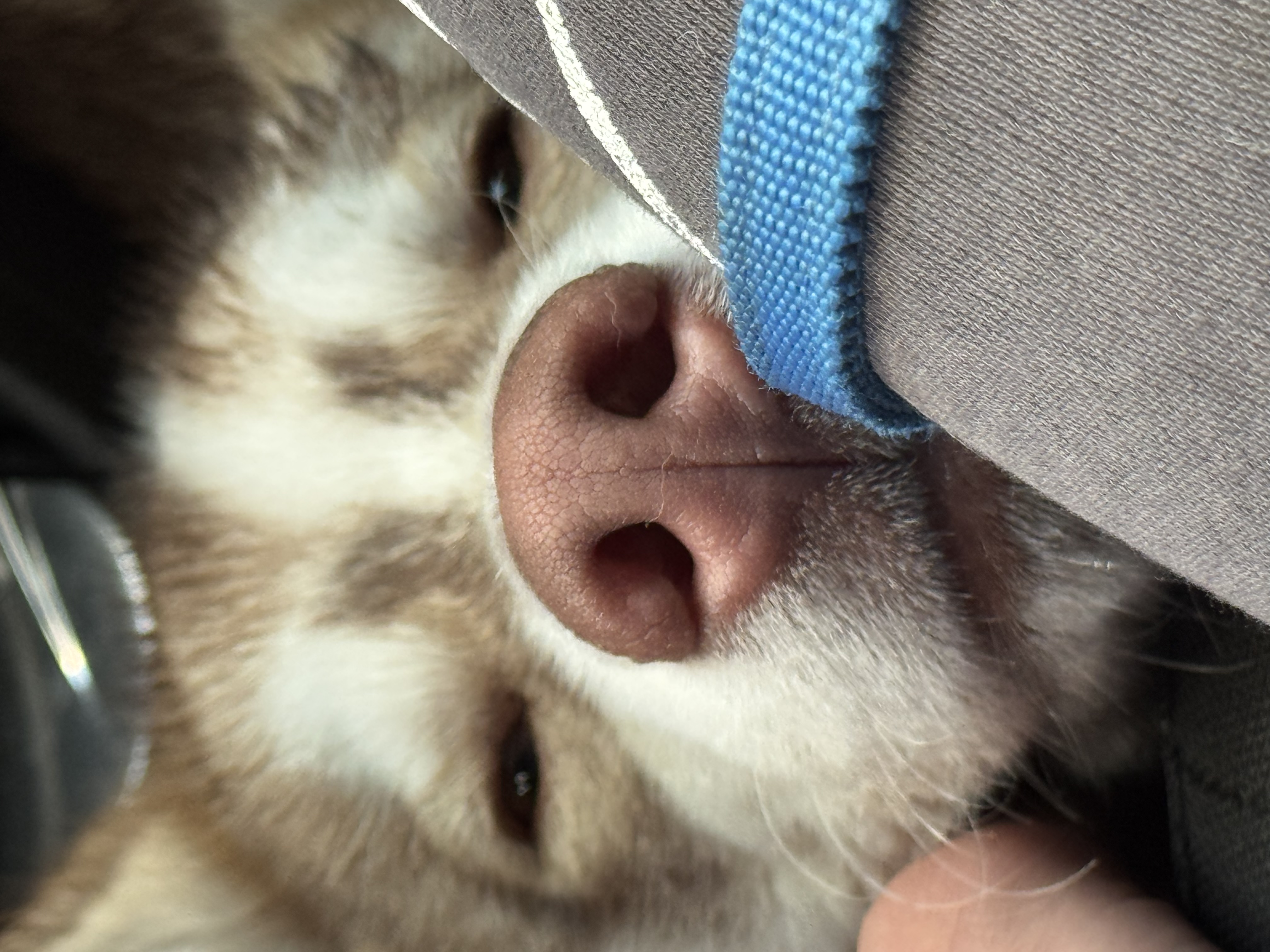 image-8