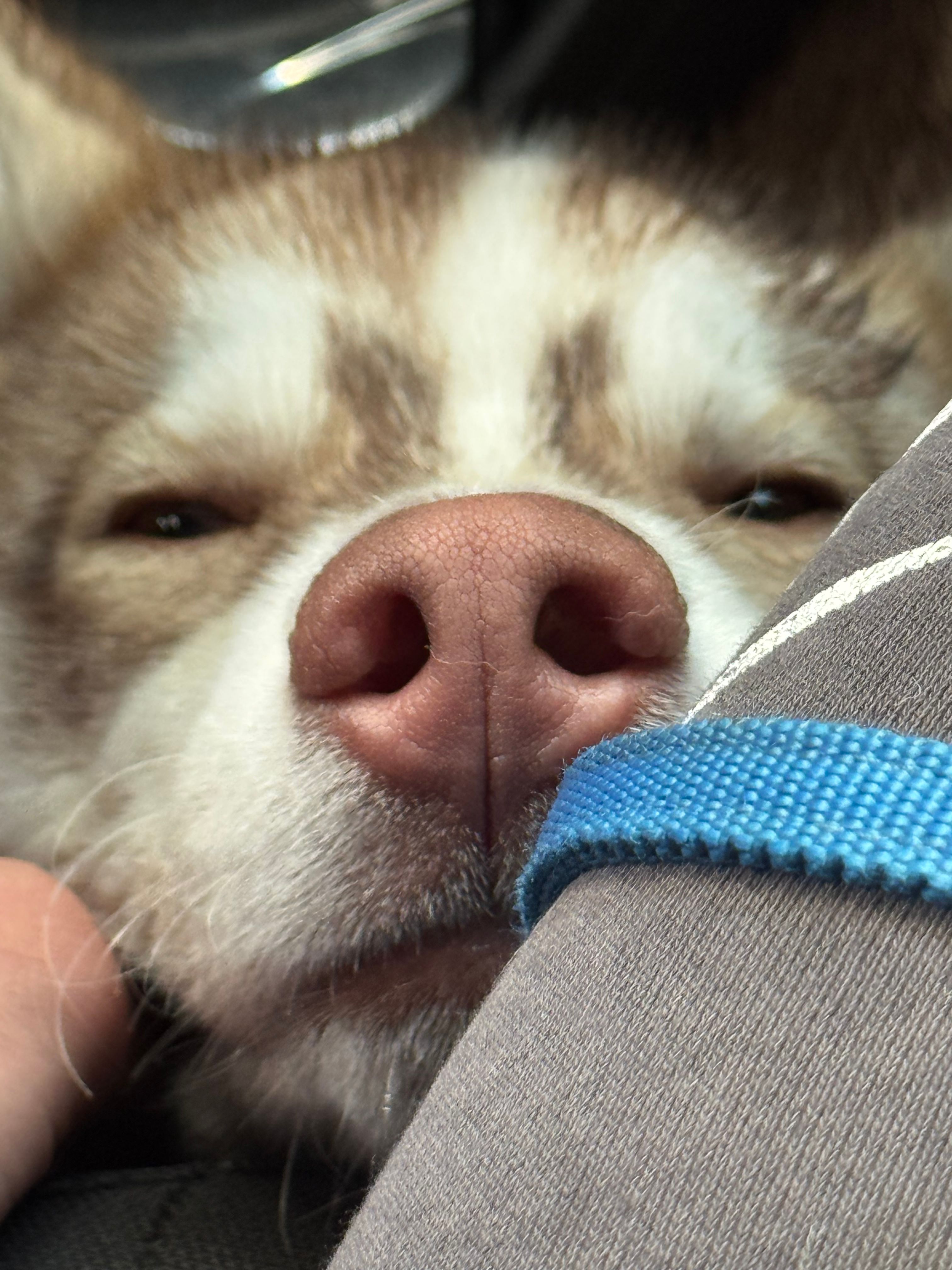 image-8