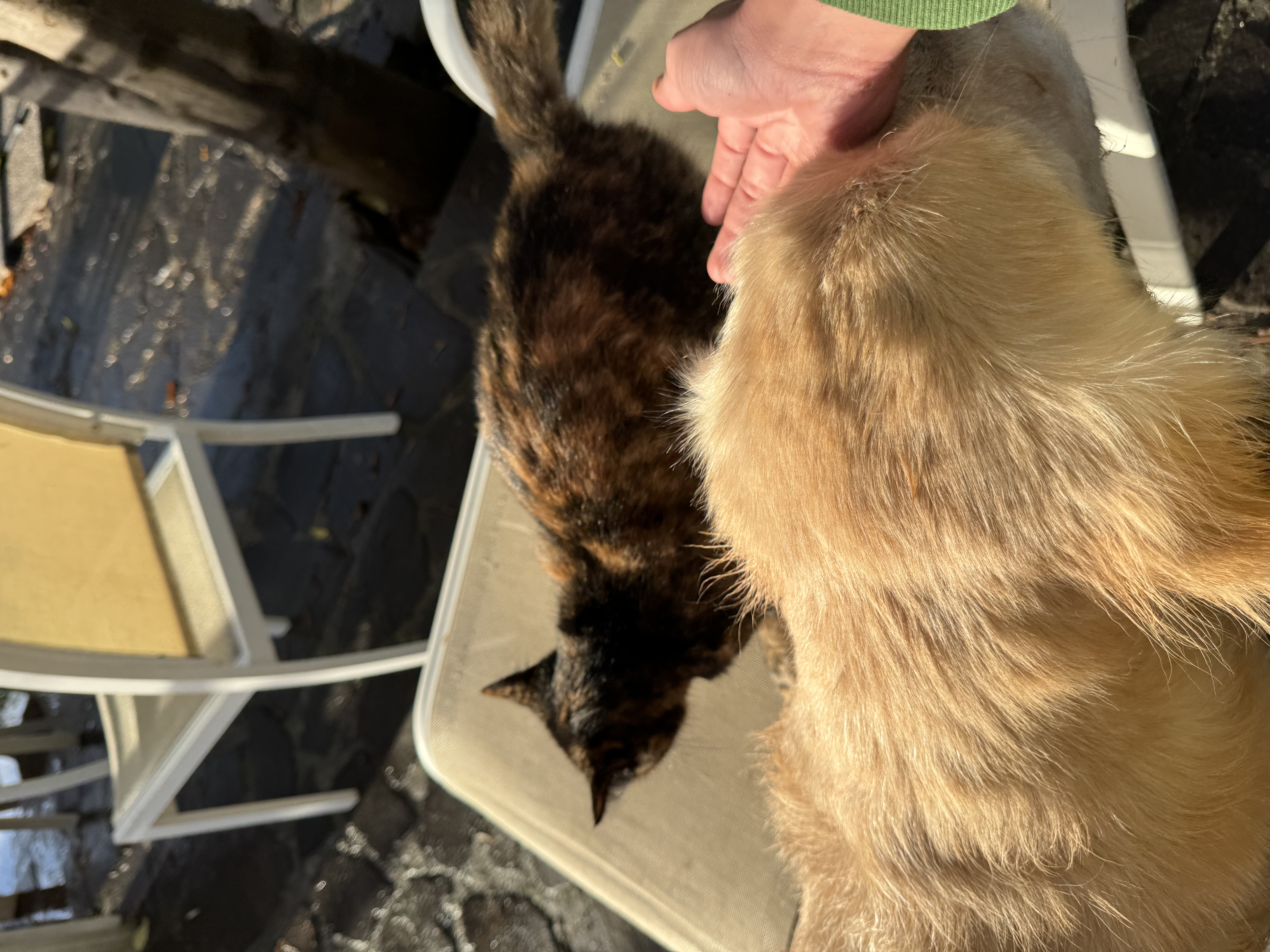 image-6