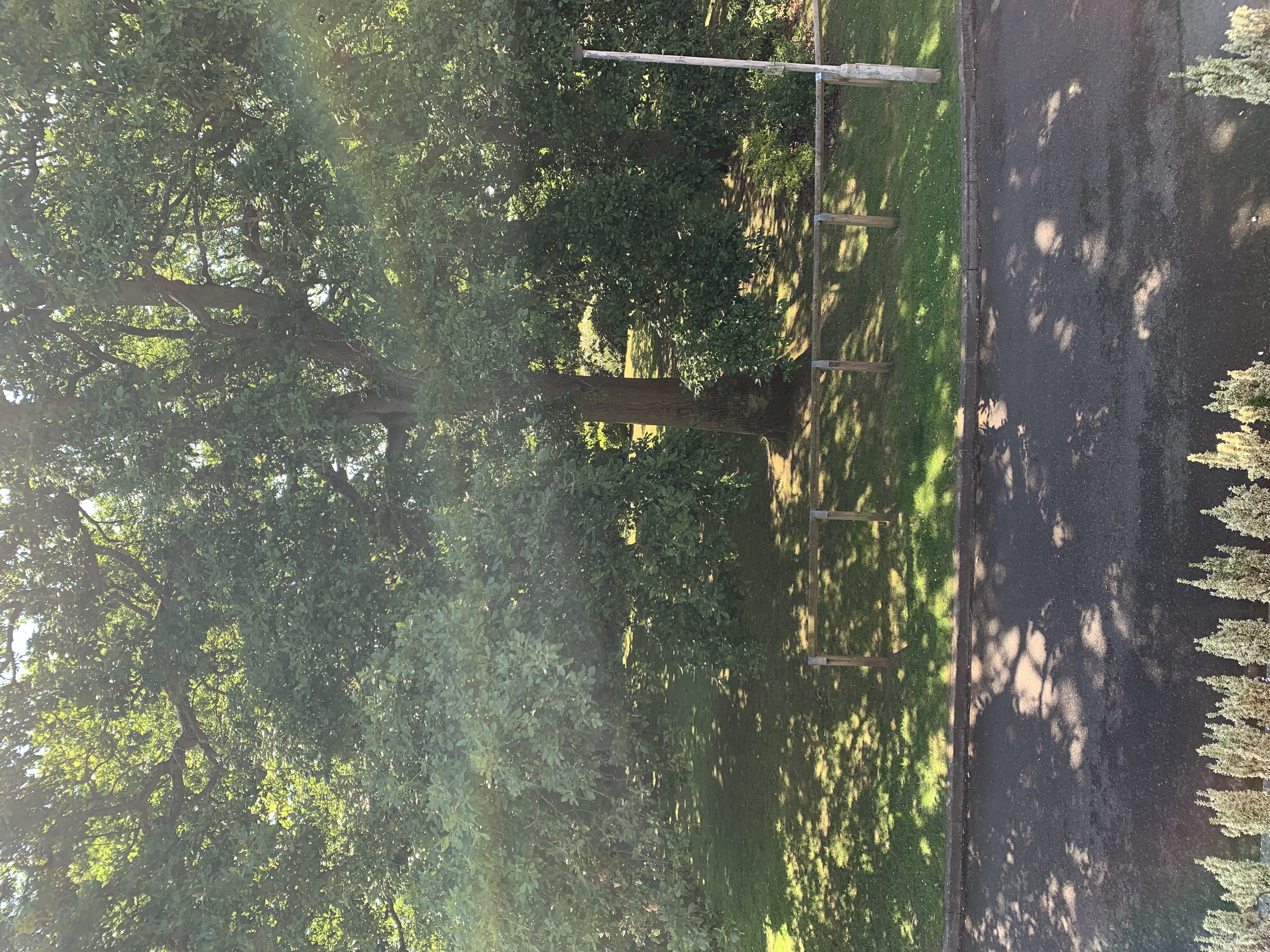 image-18