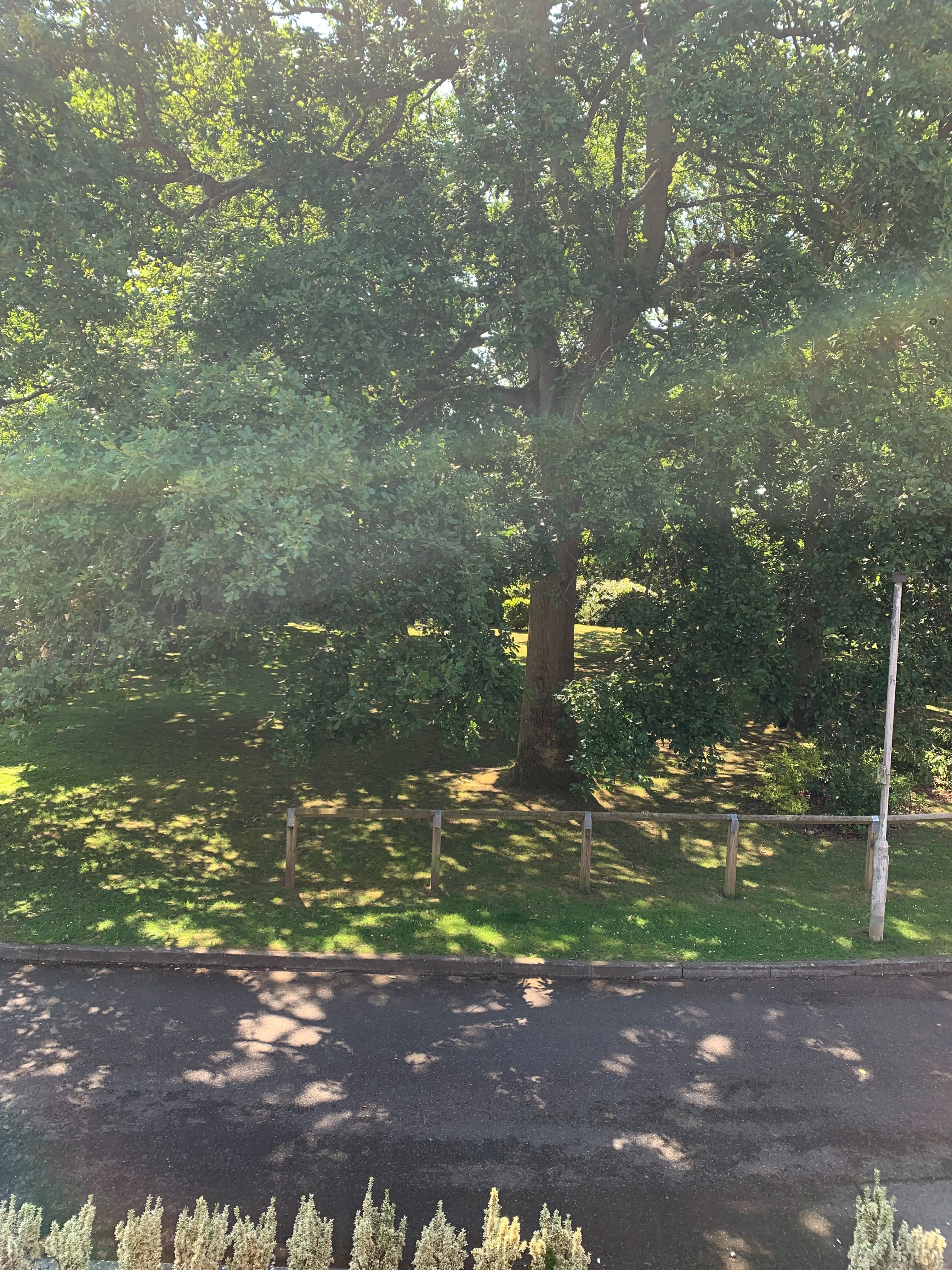 image-18