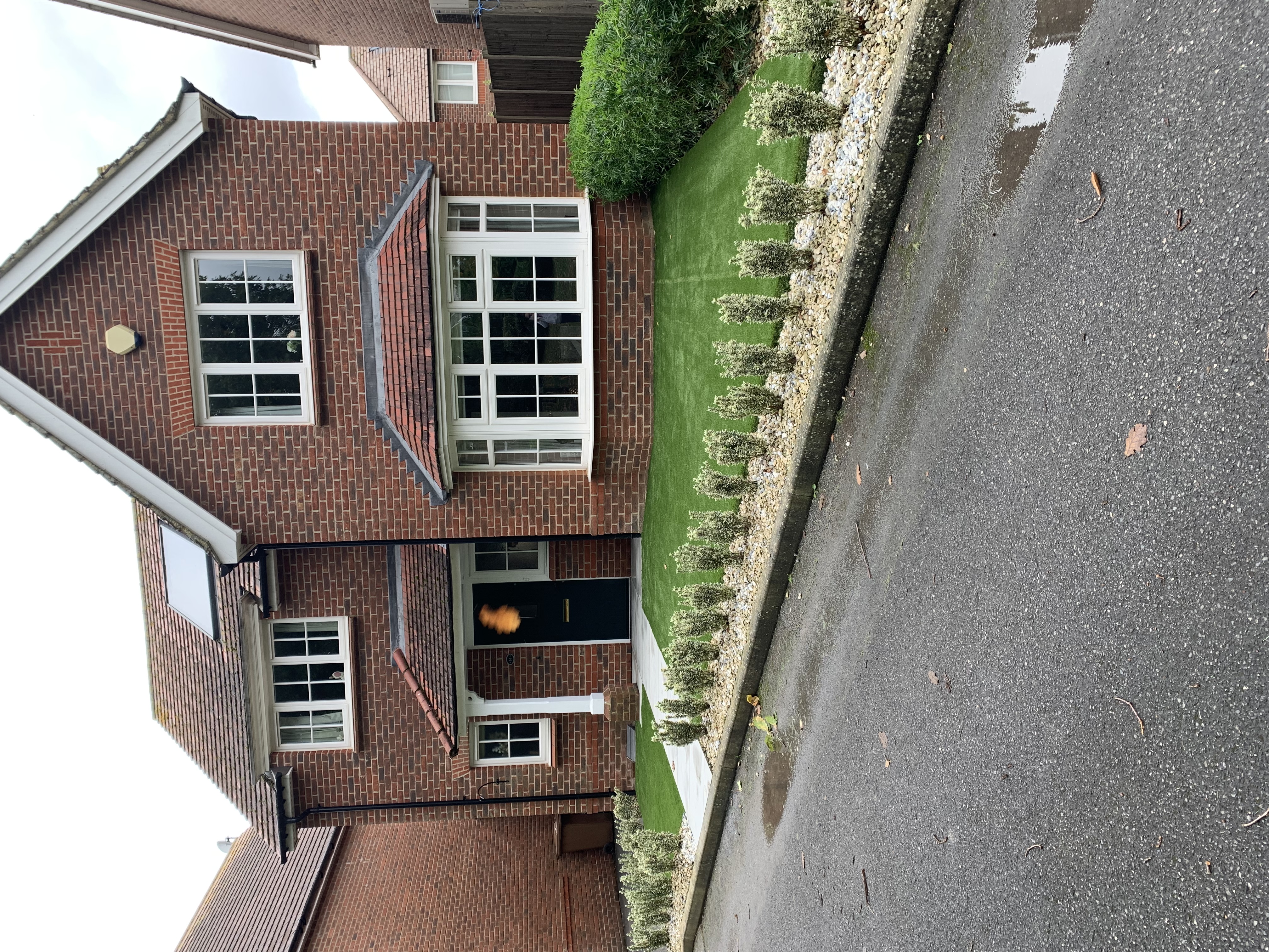 image-15