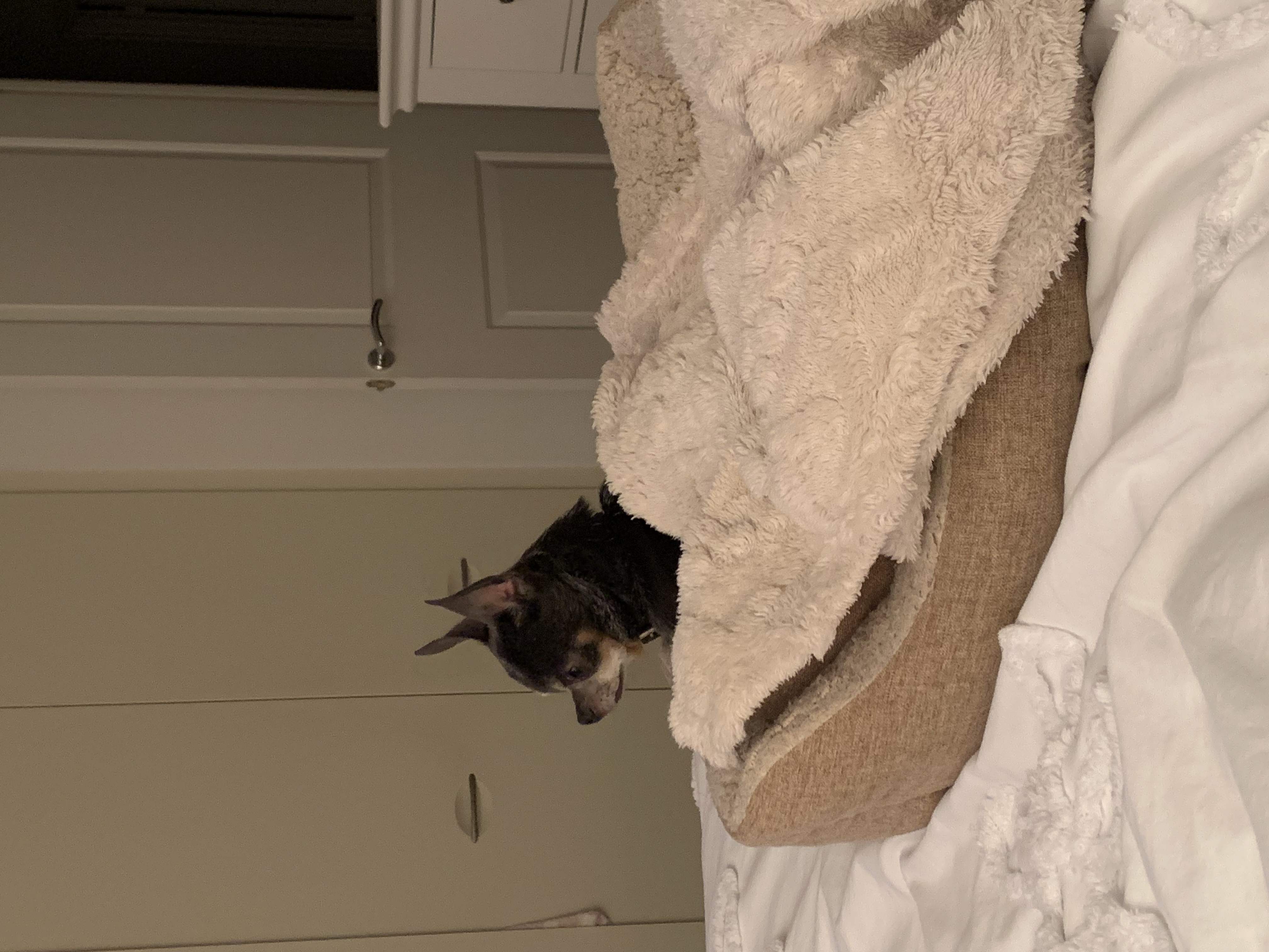 image-14