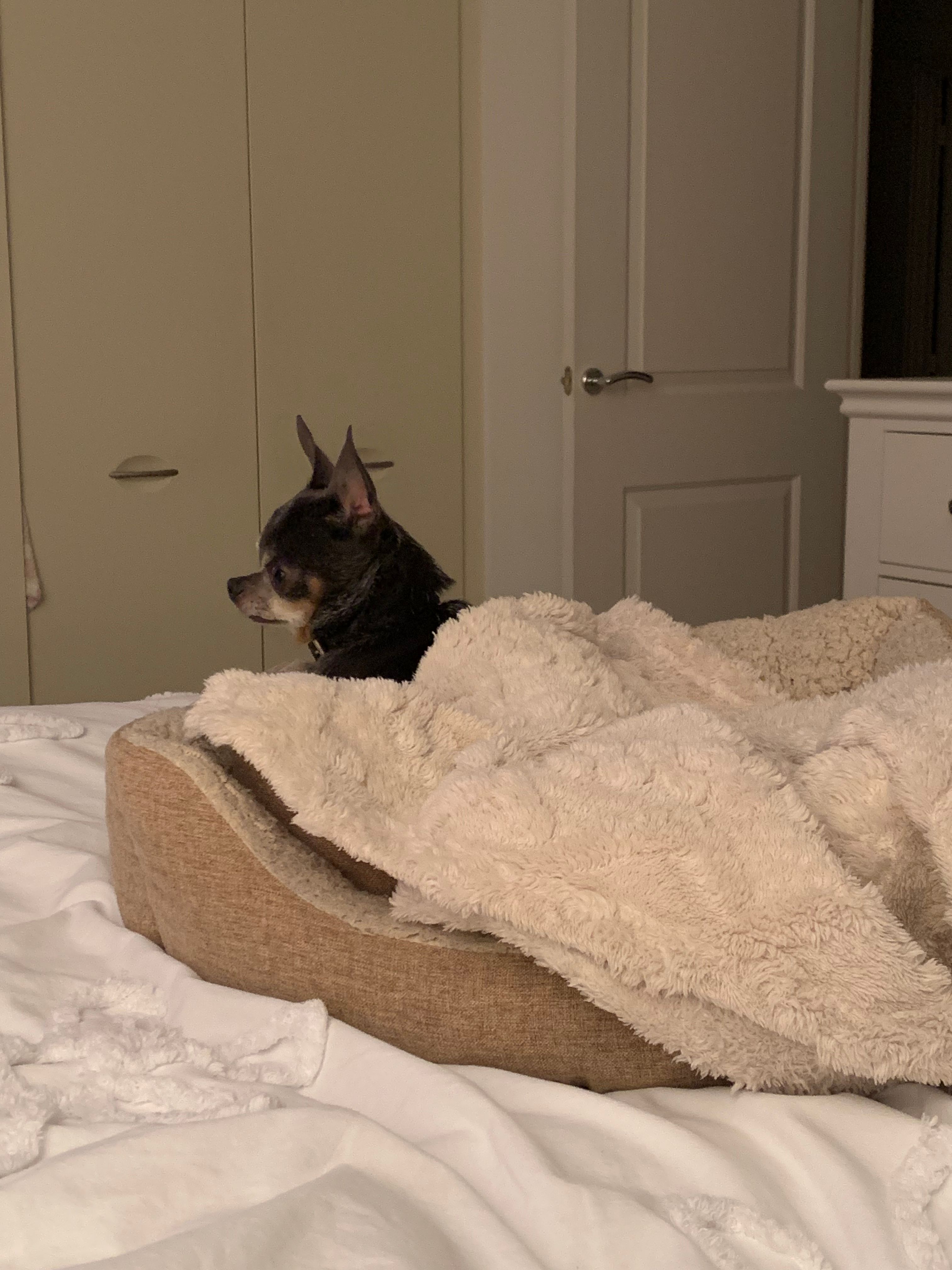 image-14
