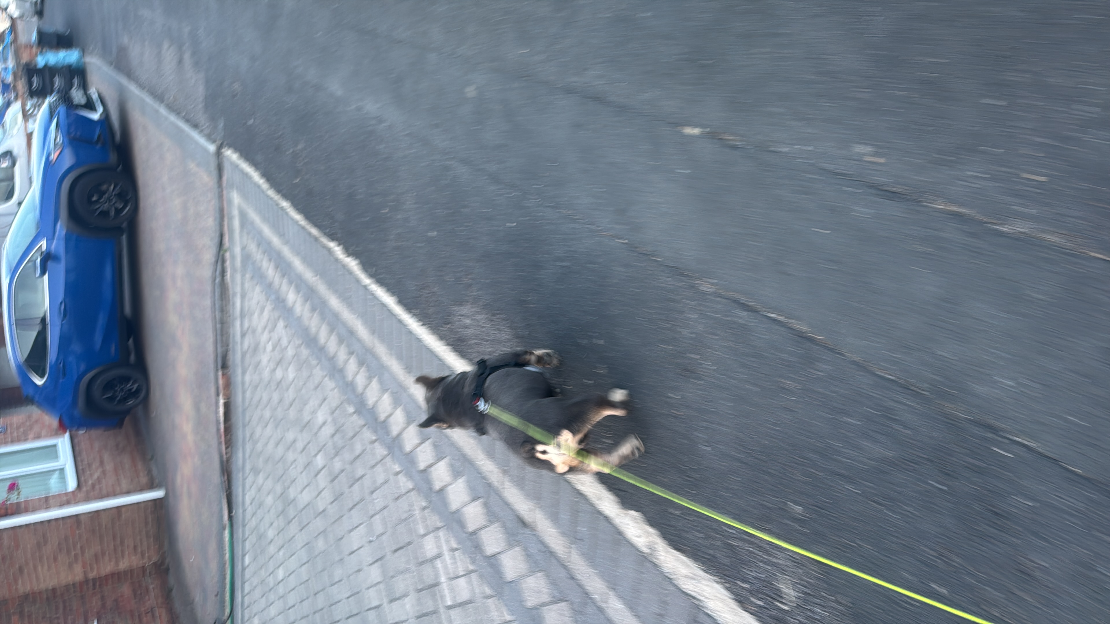 image-8