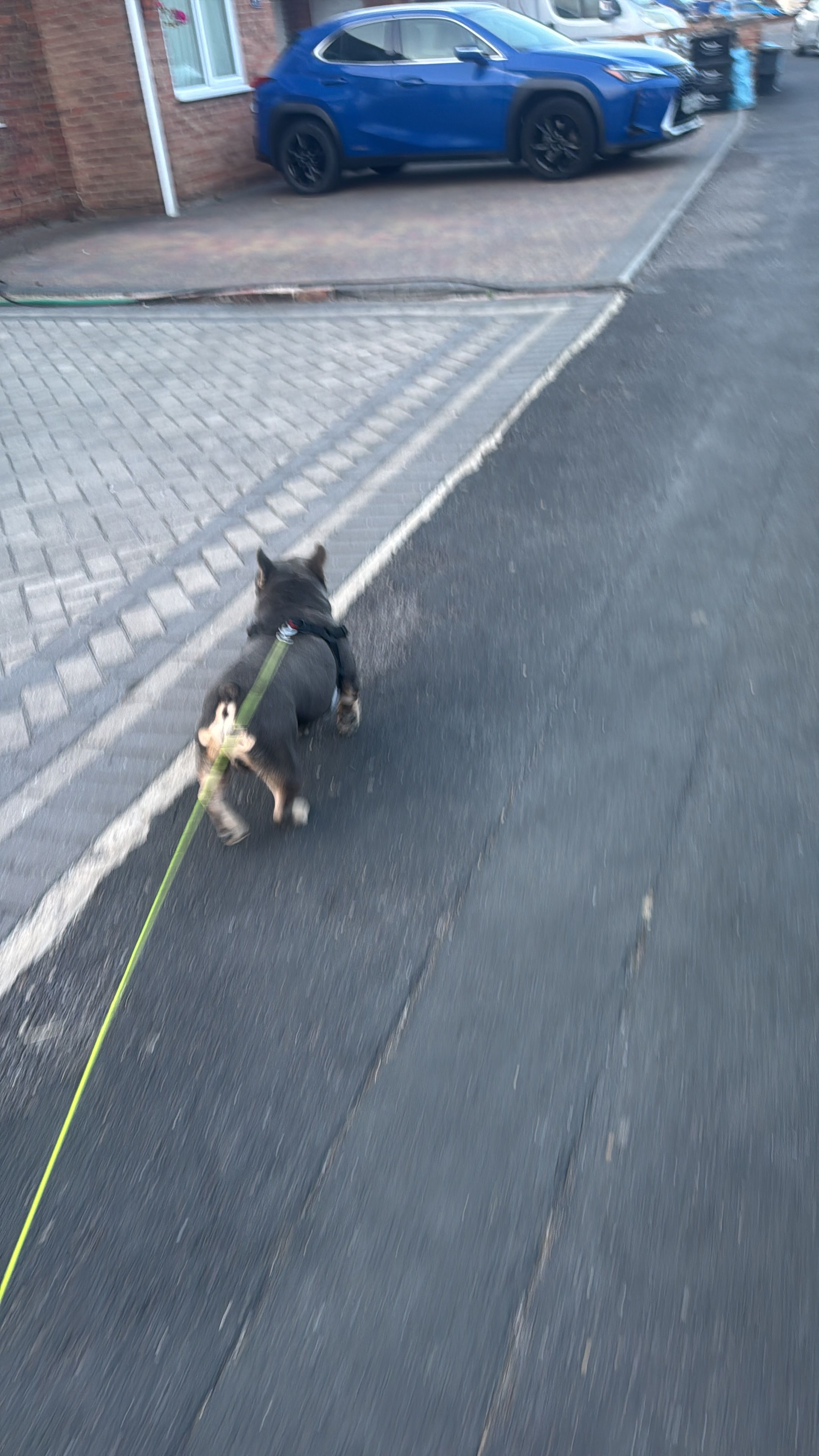 image-8