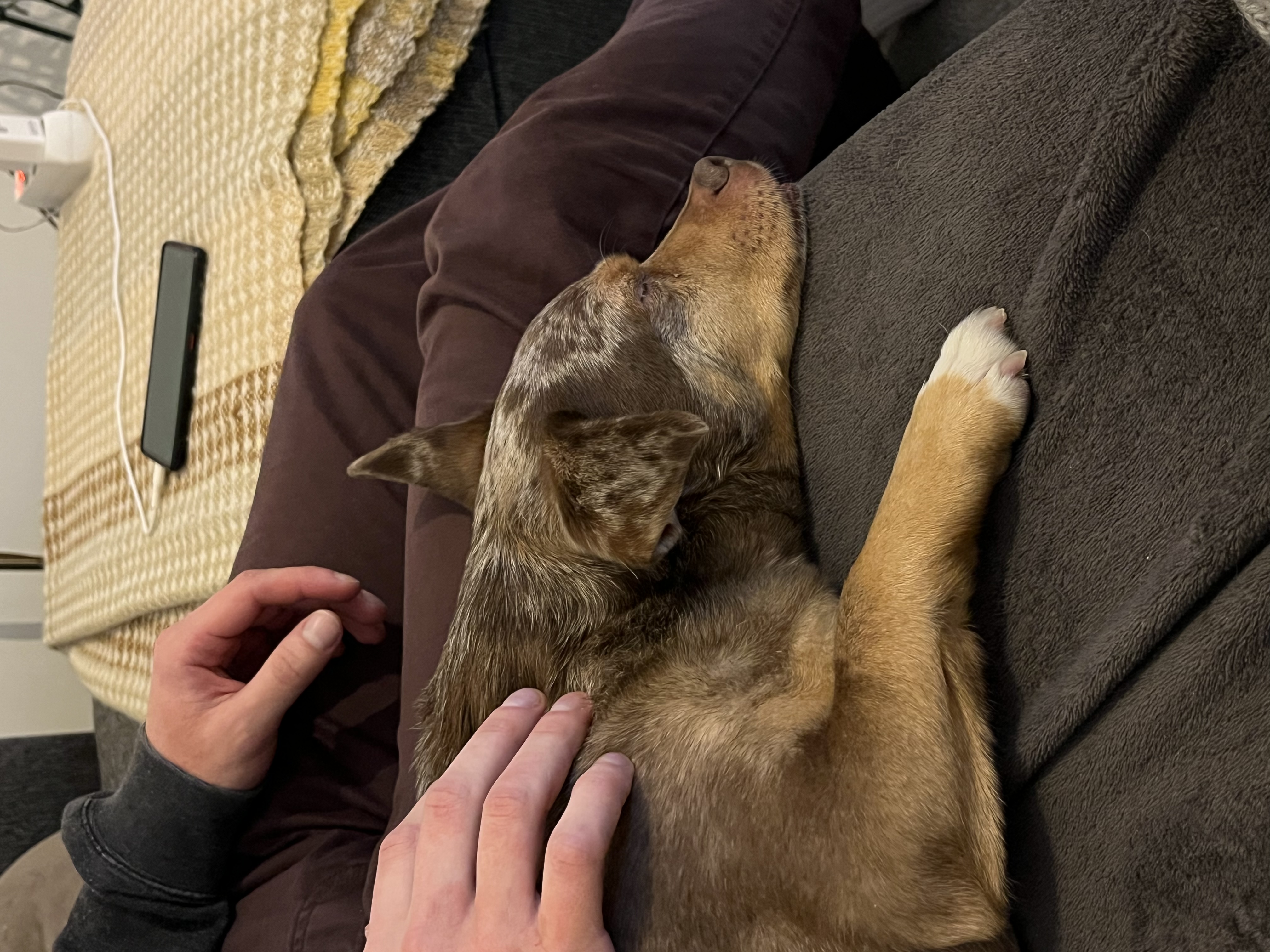 image-9