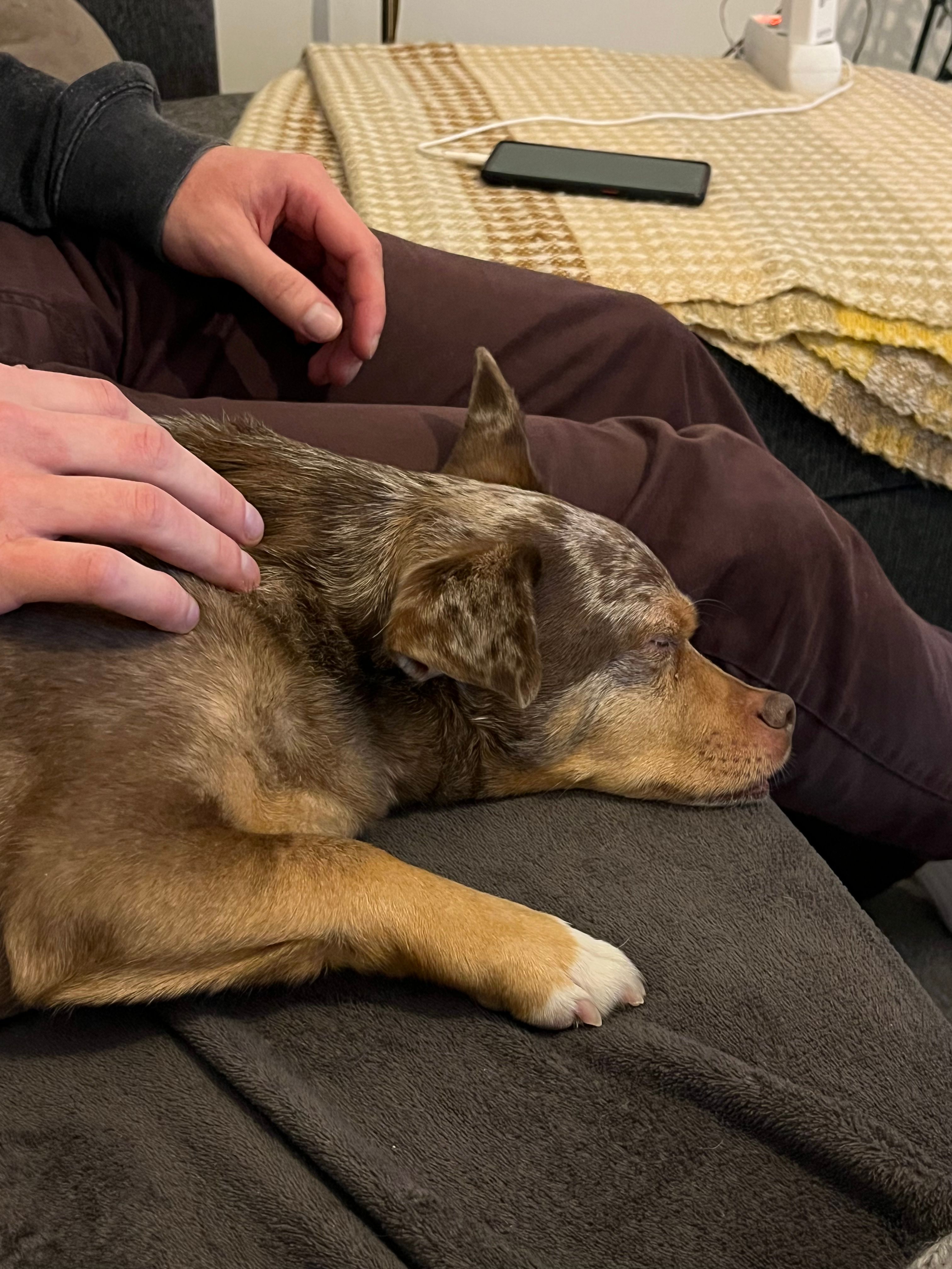 image-9