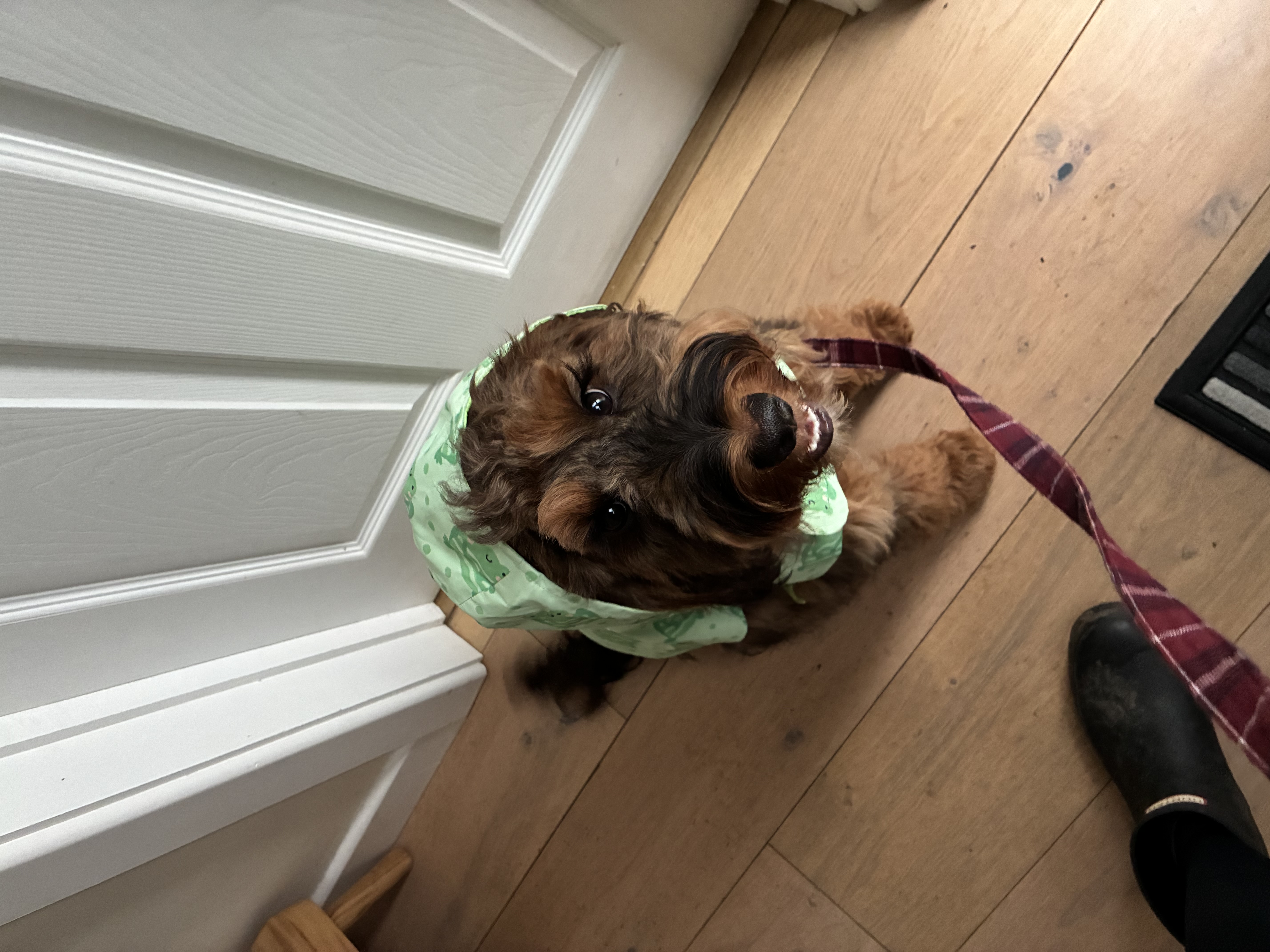 image-8