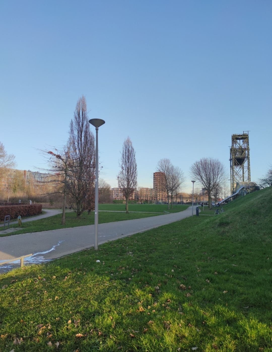 image-14