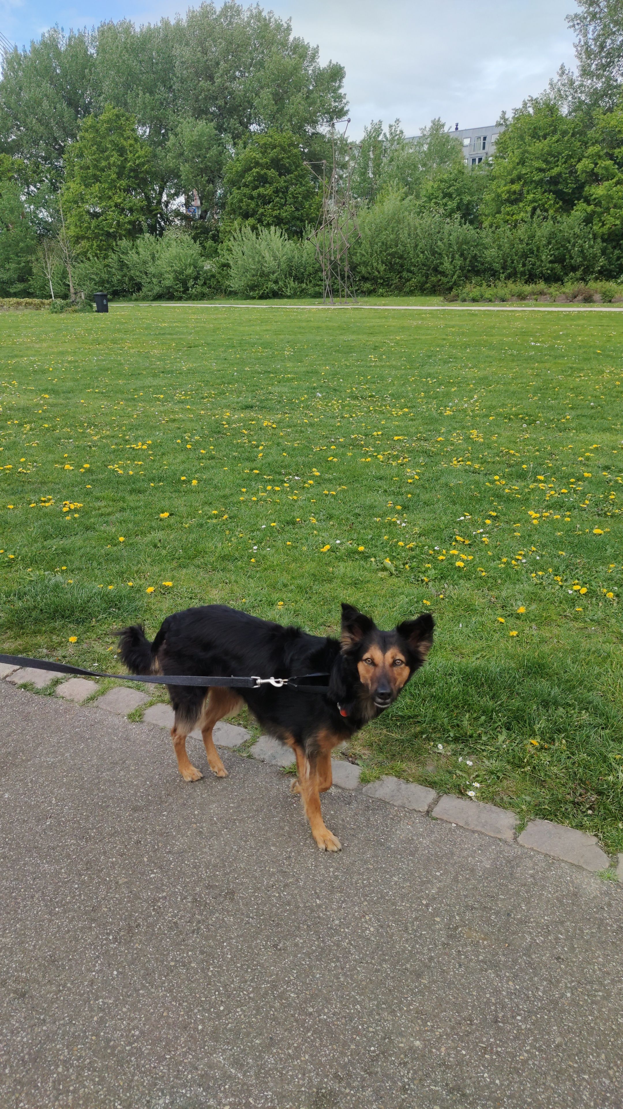 image-9