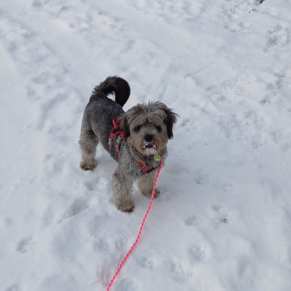 Zoe