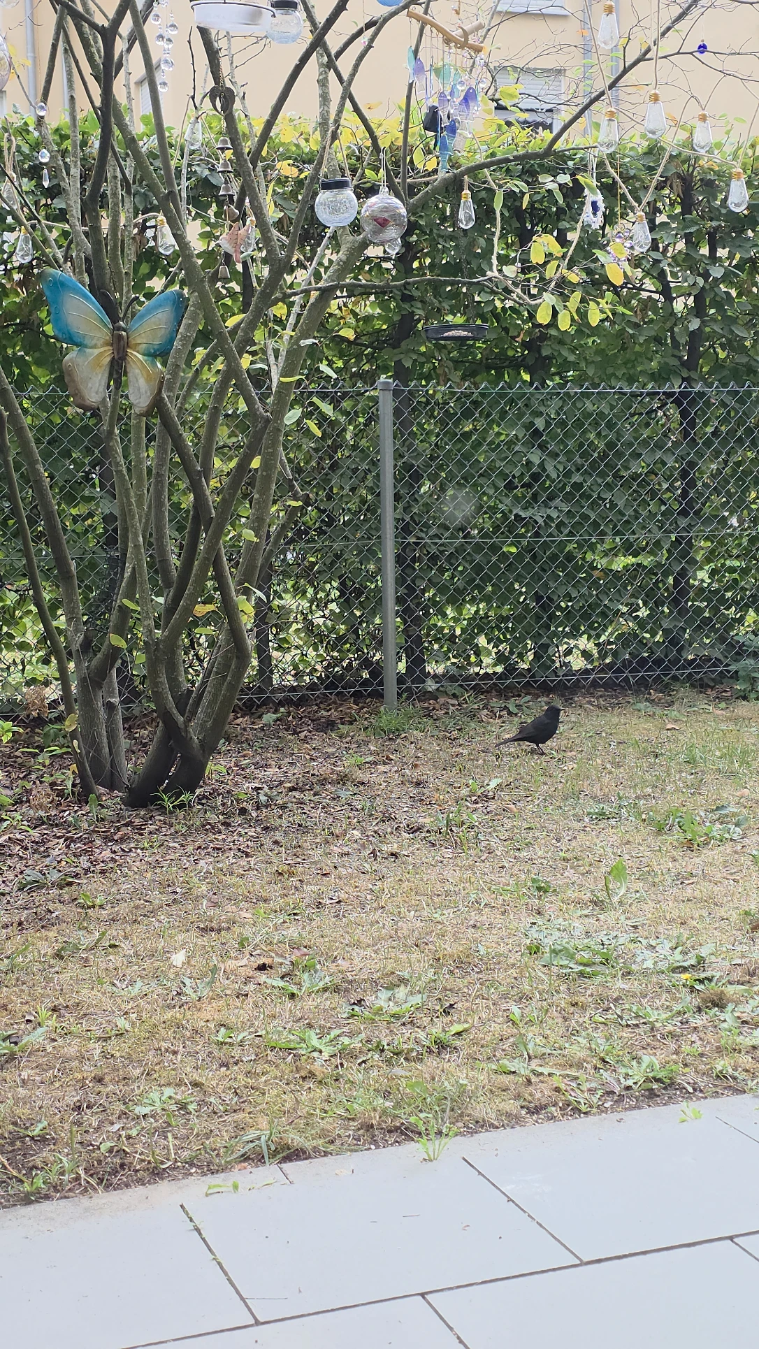 image-17