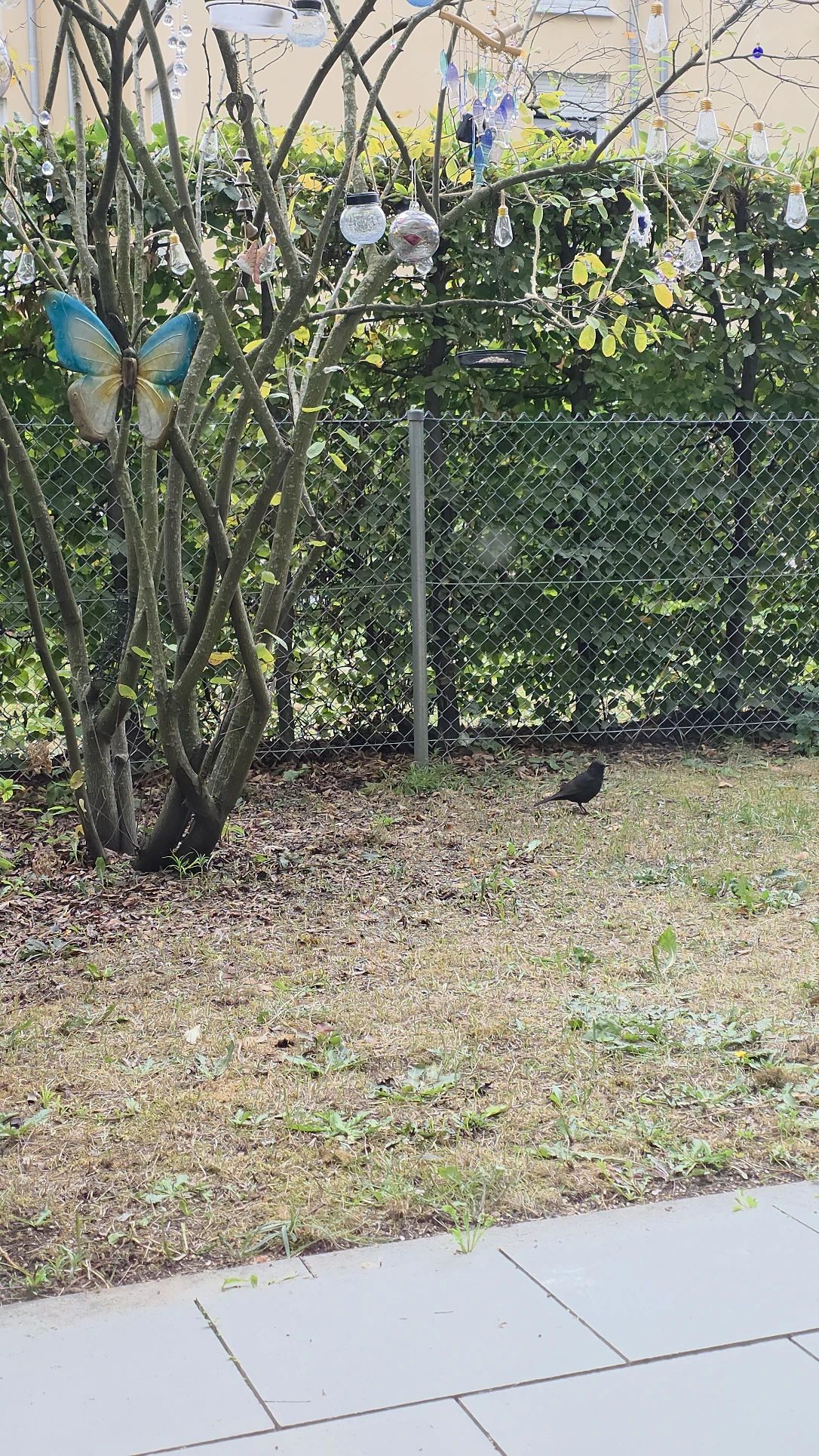 image-17