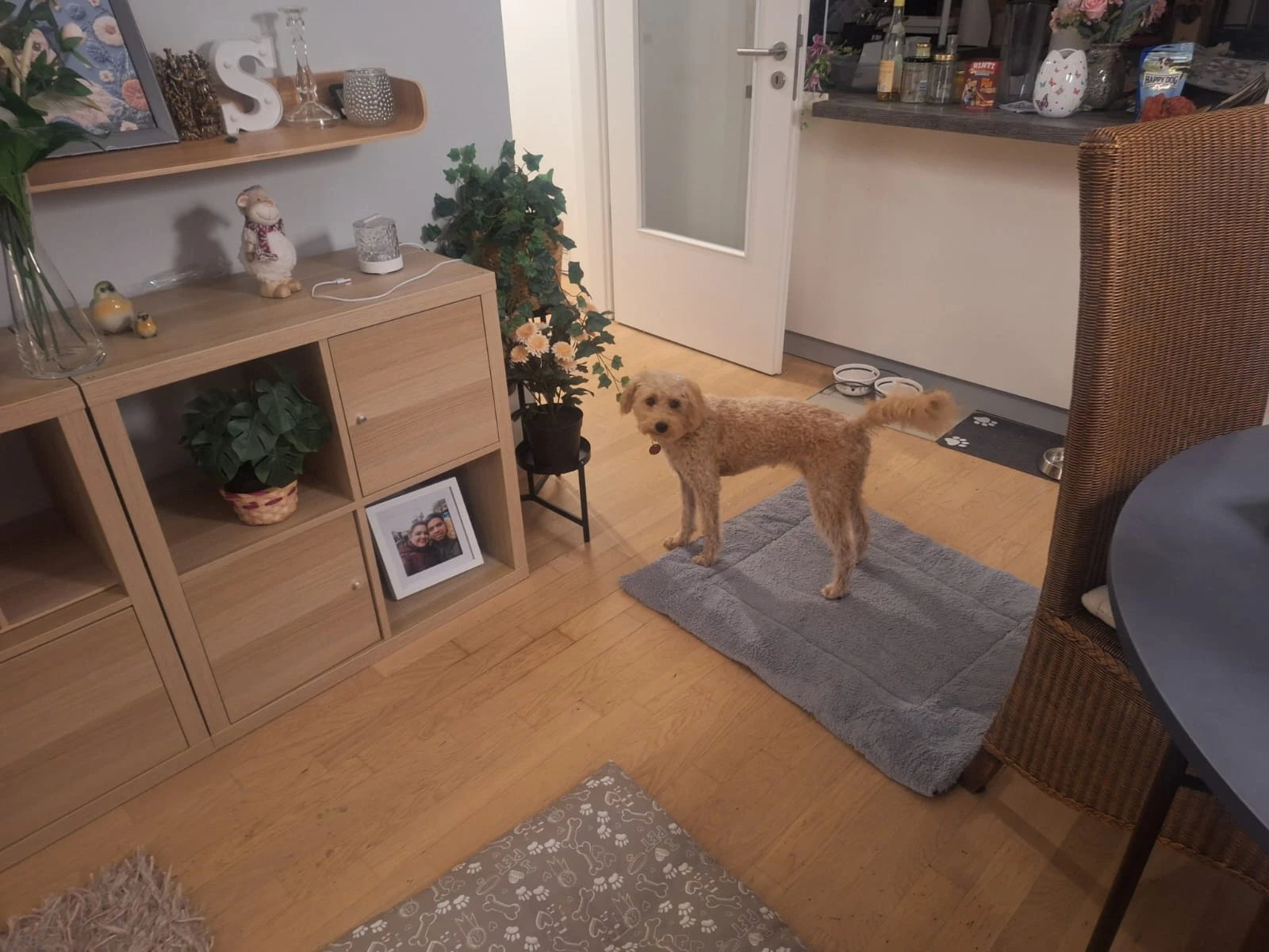 image-16