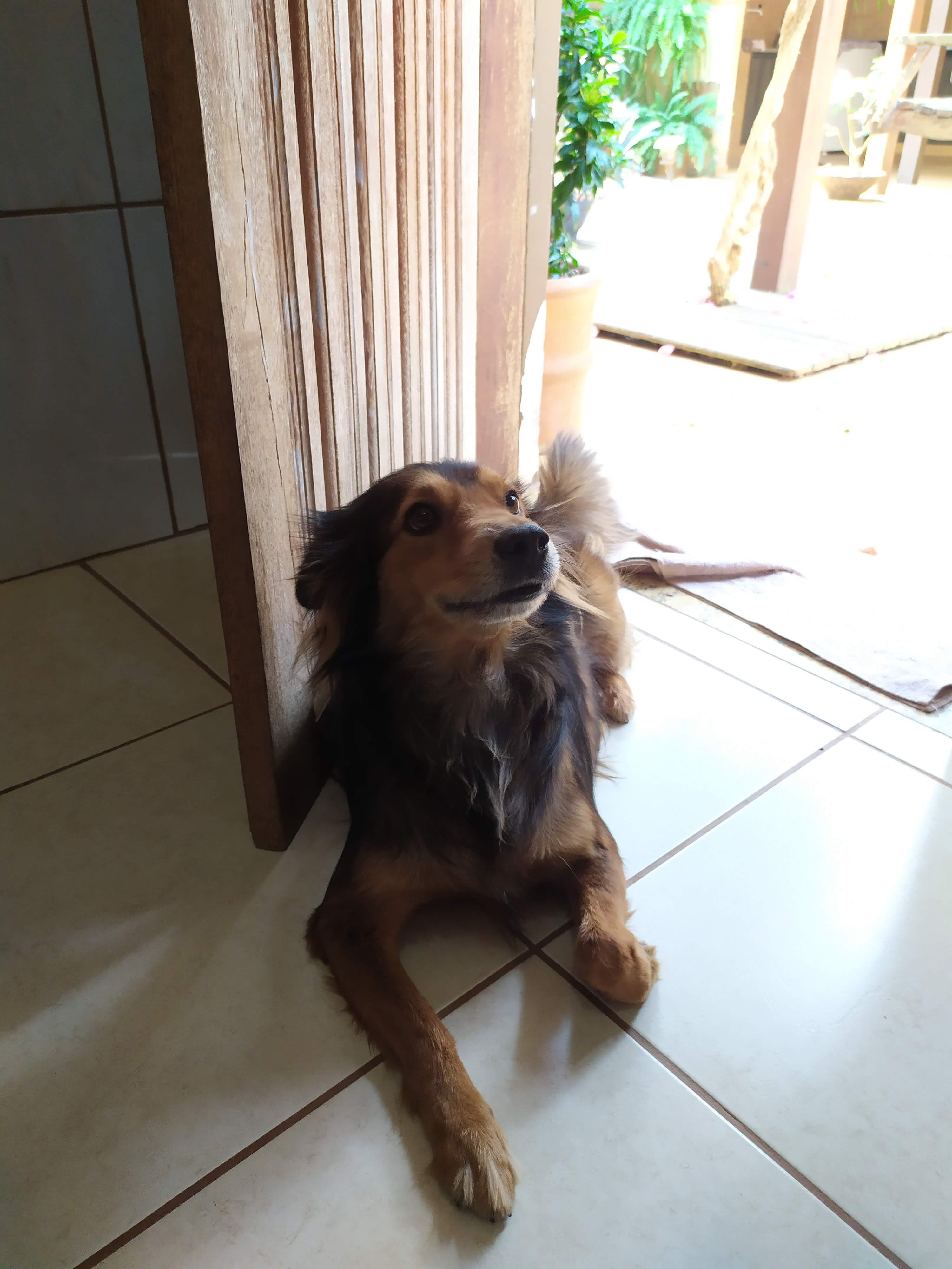 image-6