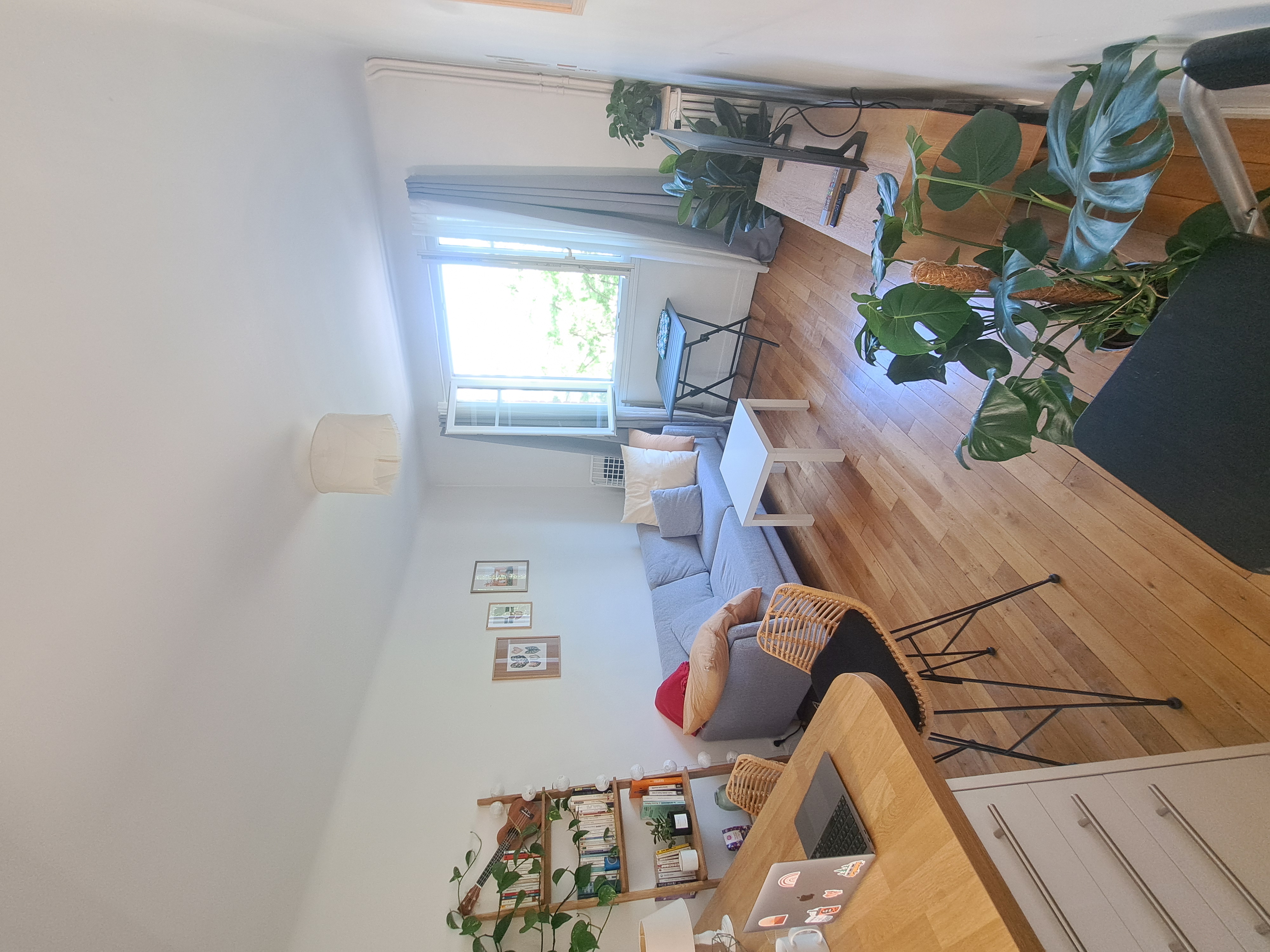 image-14