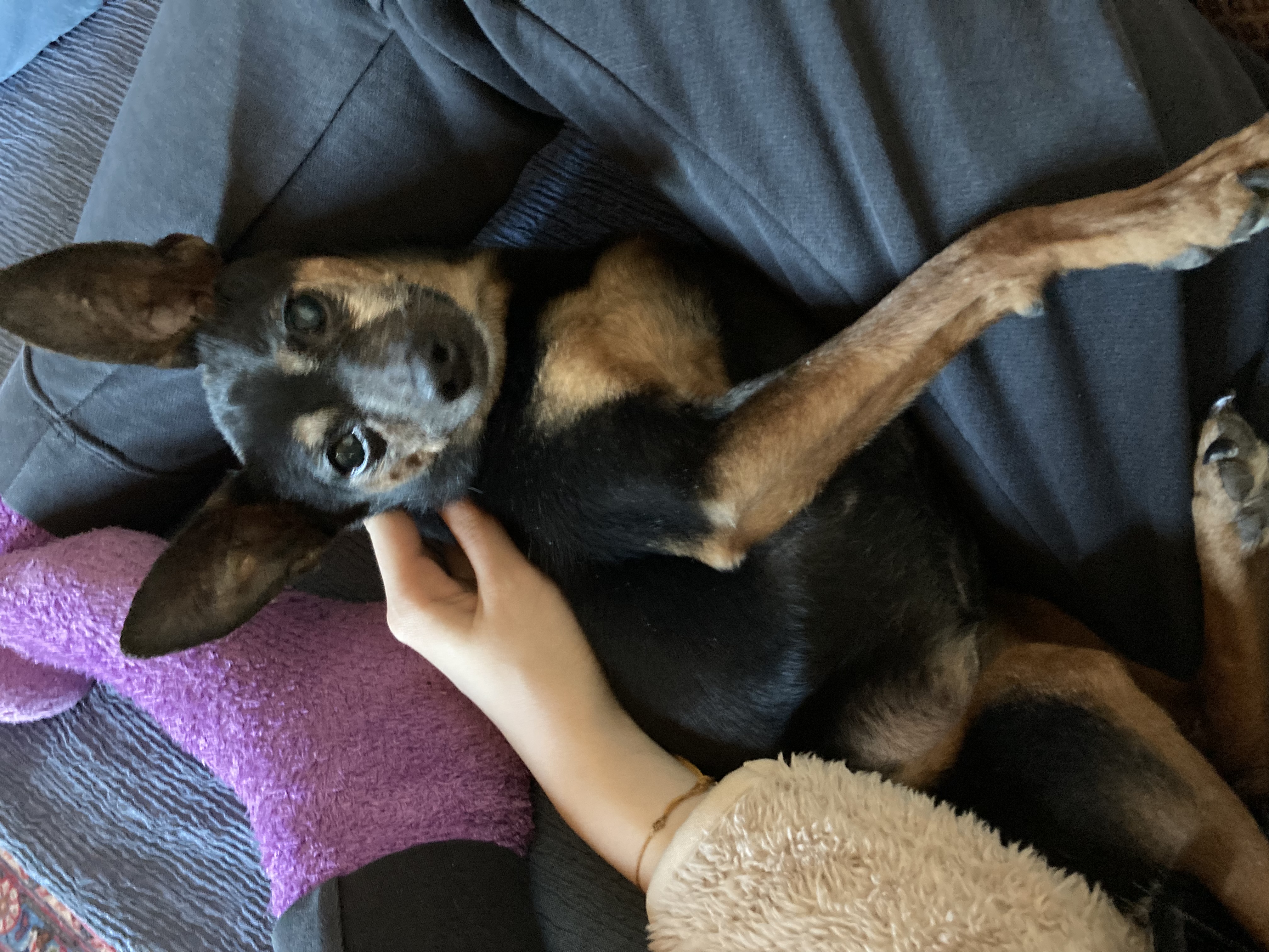 image-9
