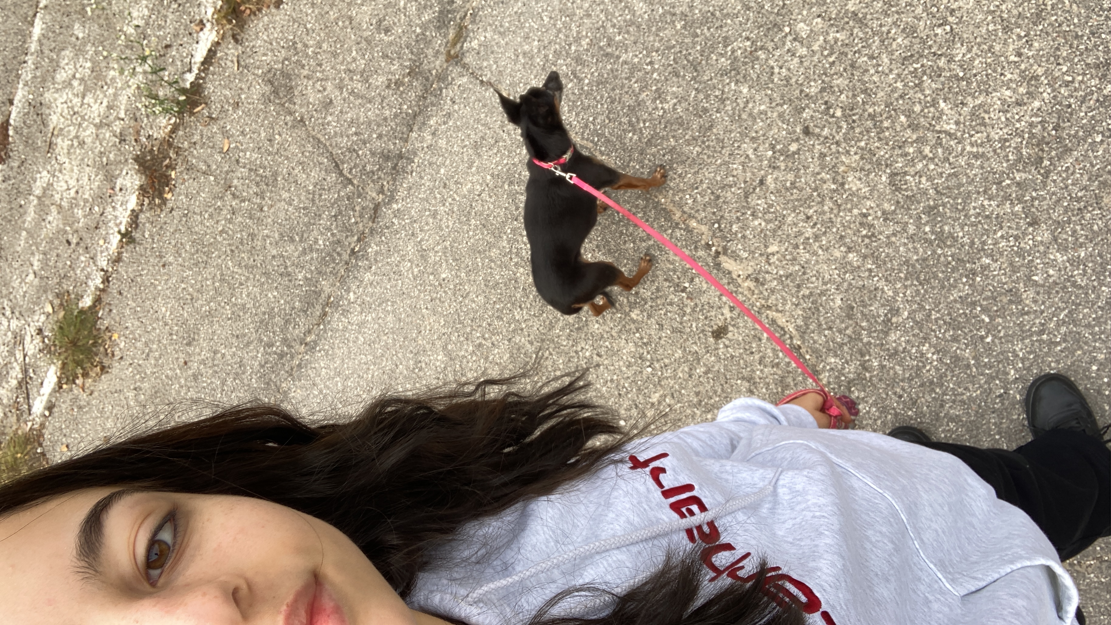 image-8