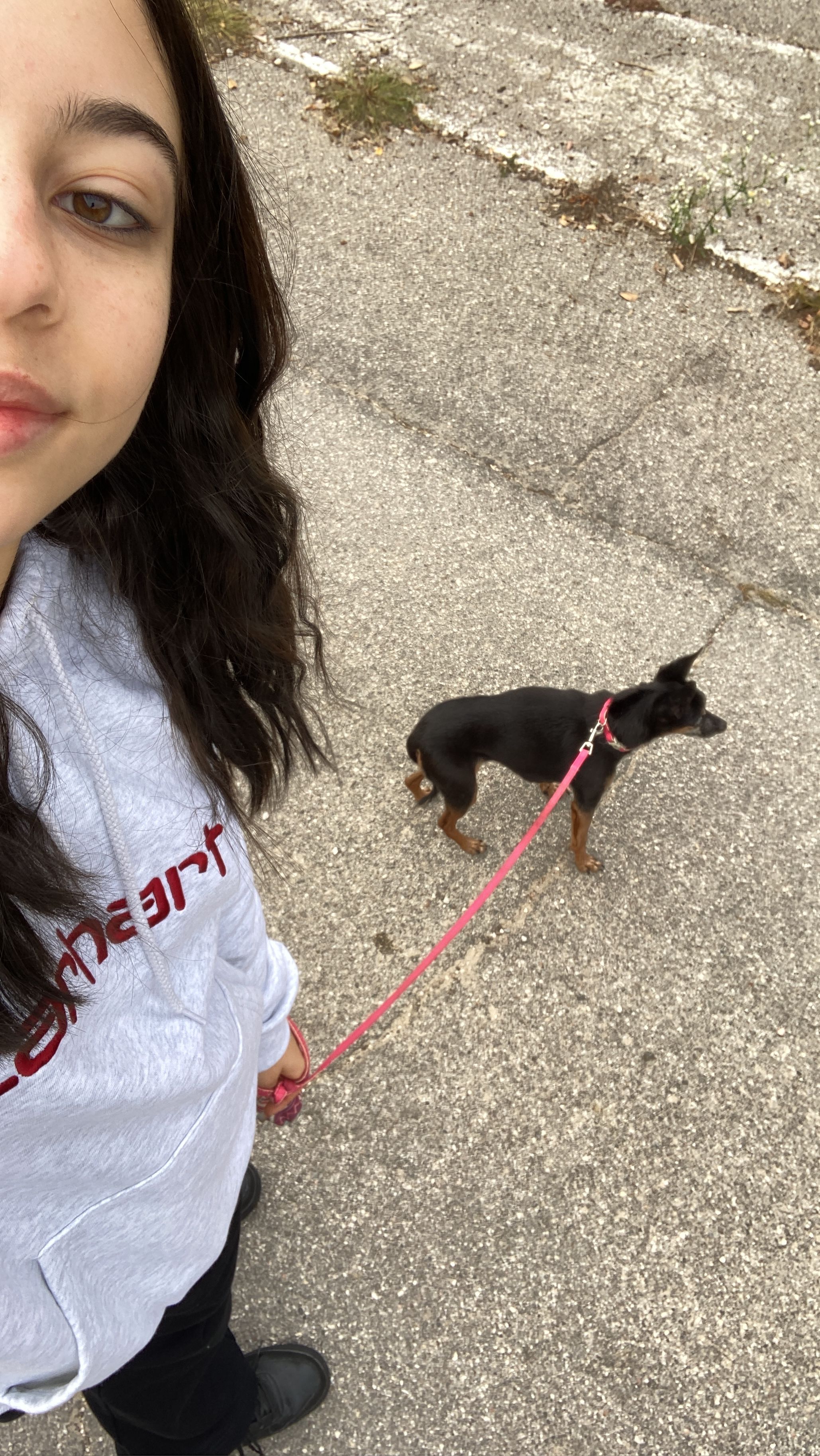image-8