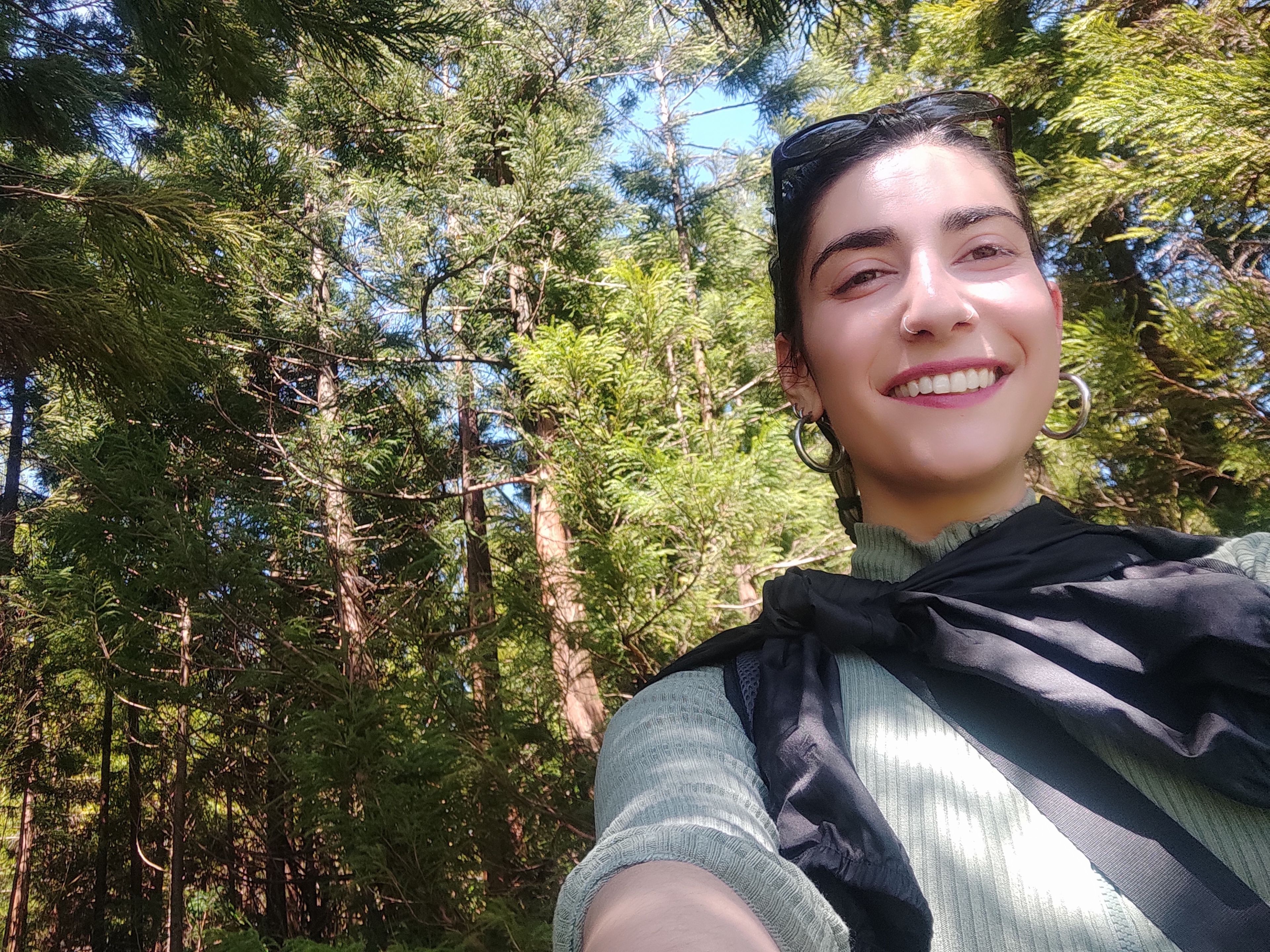 image-7