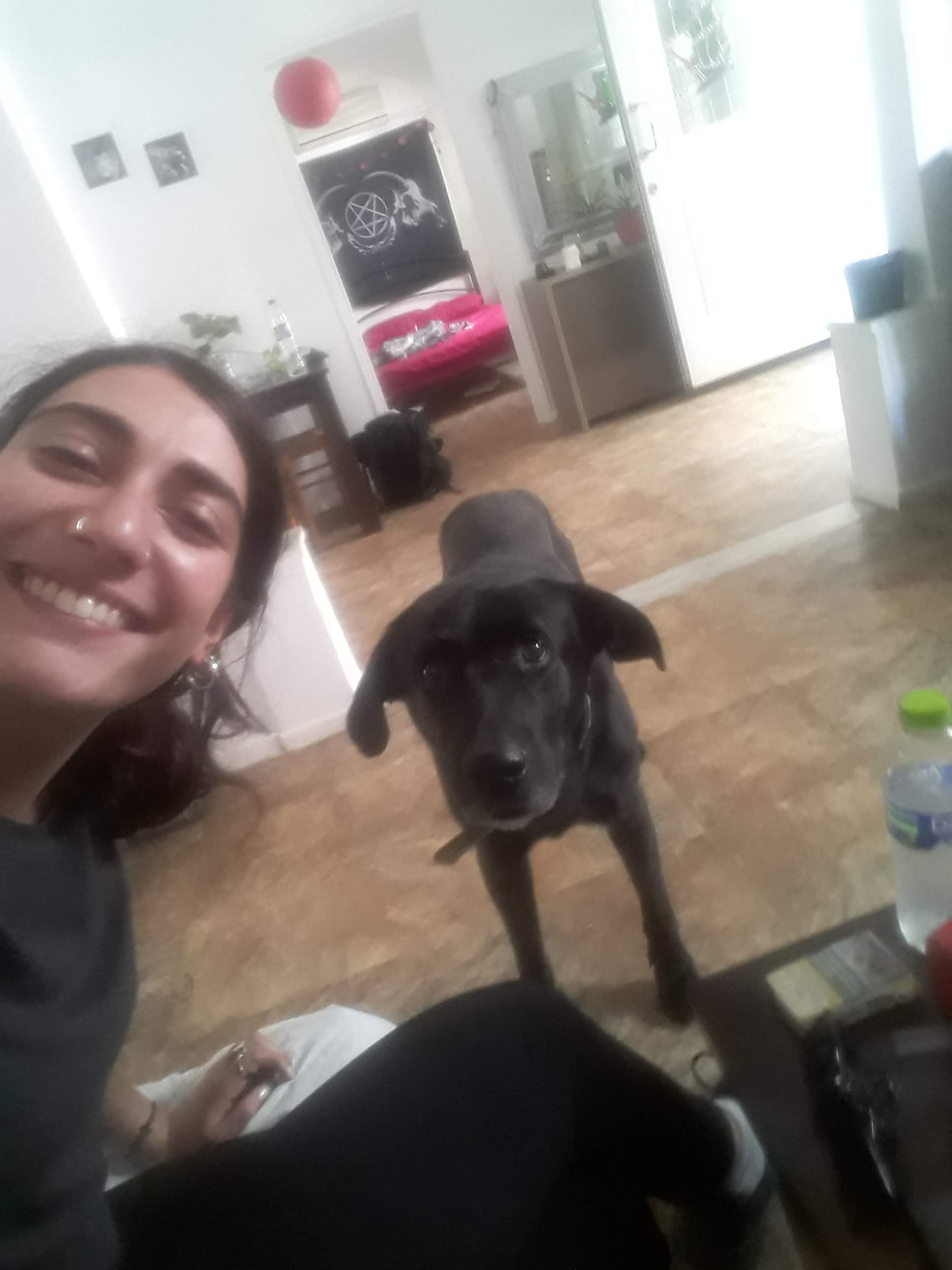 image-3