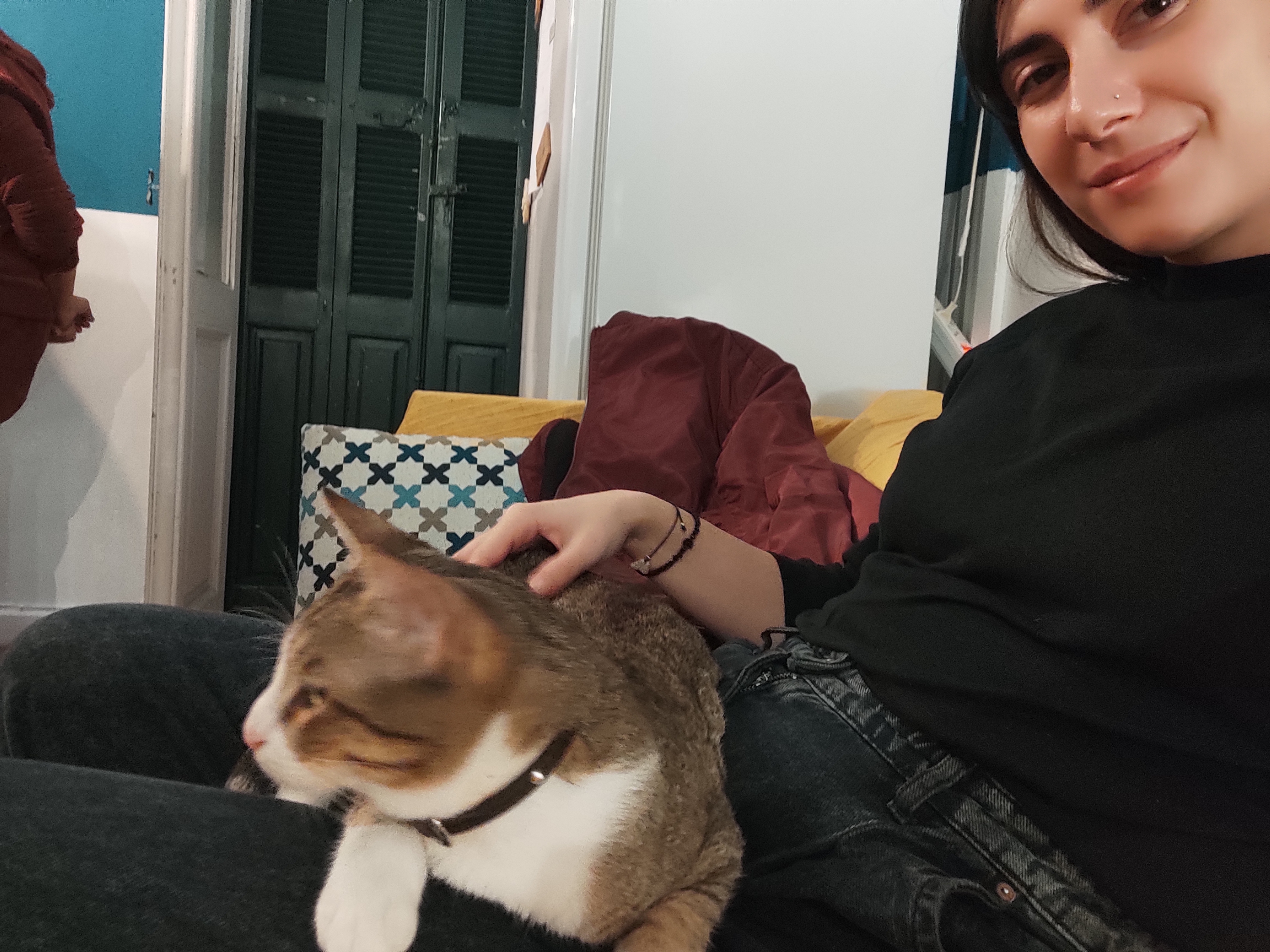 image-6