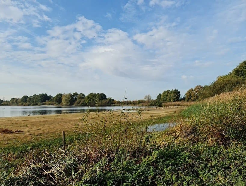 image-18