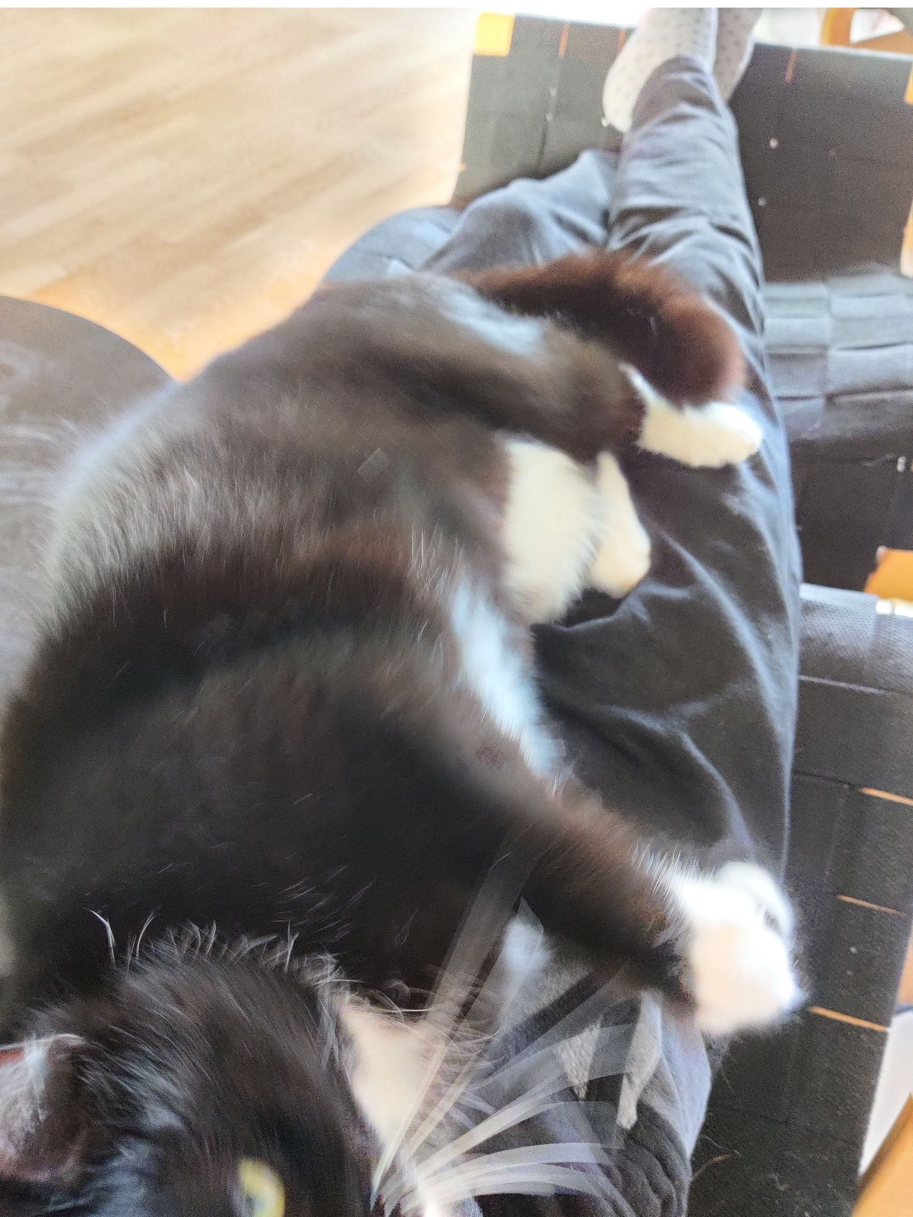 image-6