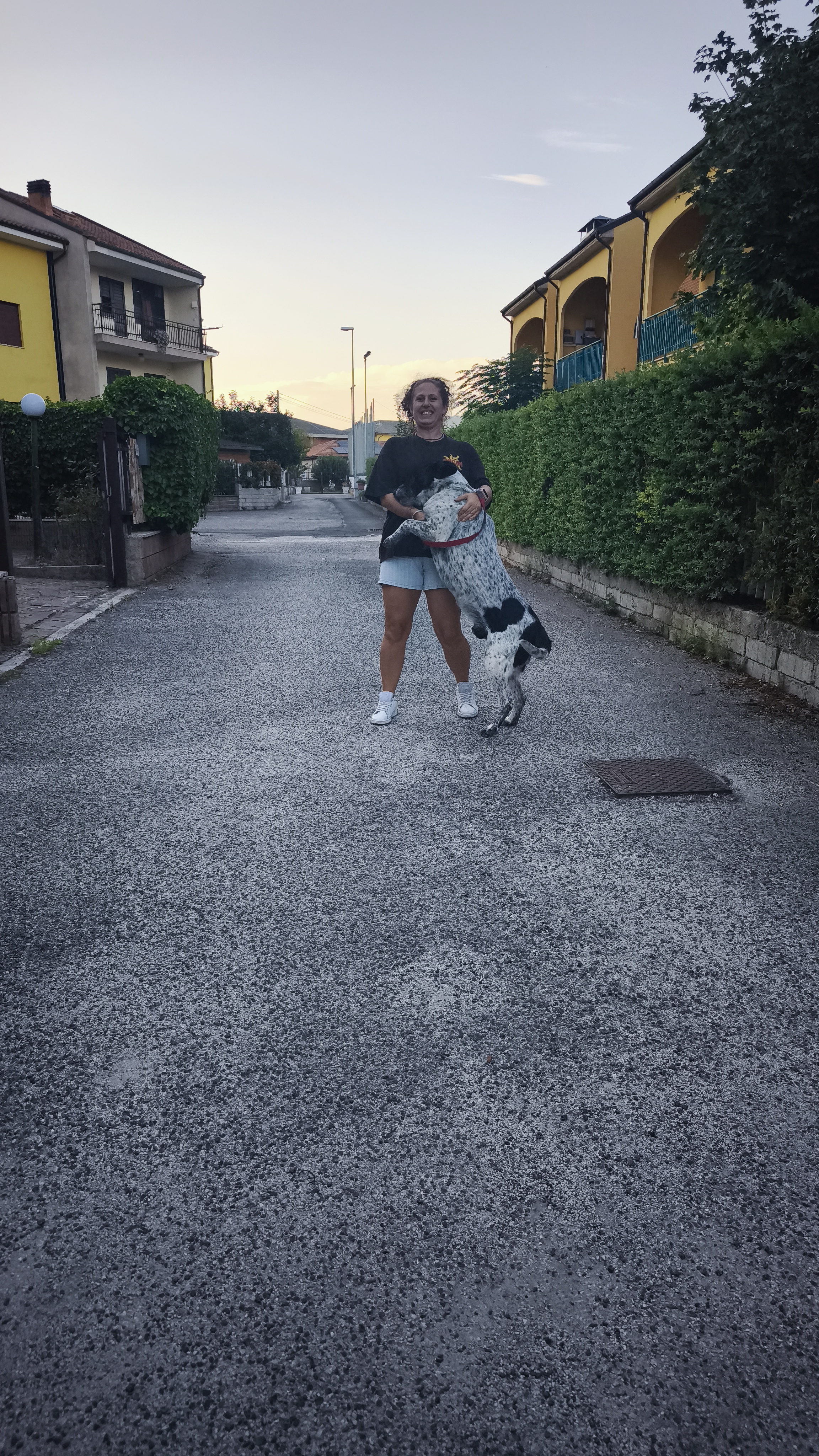 image-11