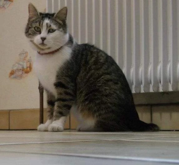 image-8